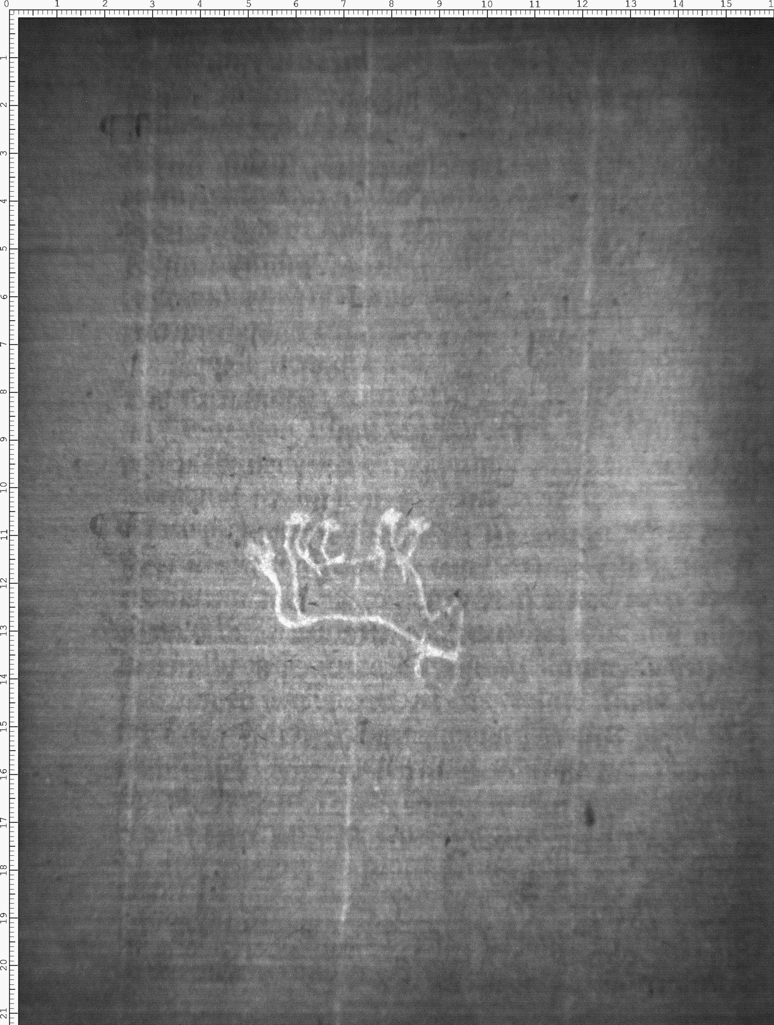 Watermark