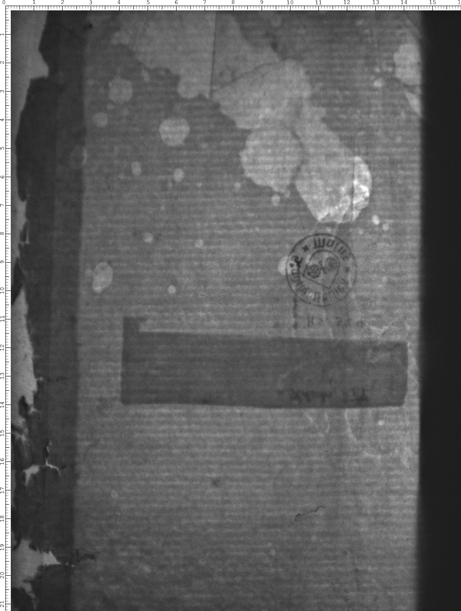 Watermark
