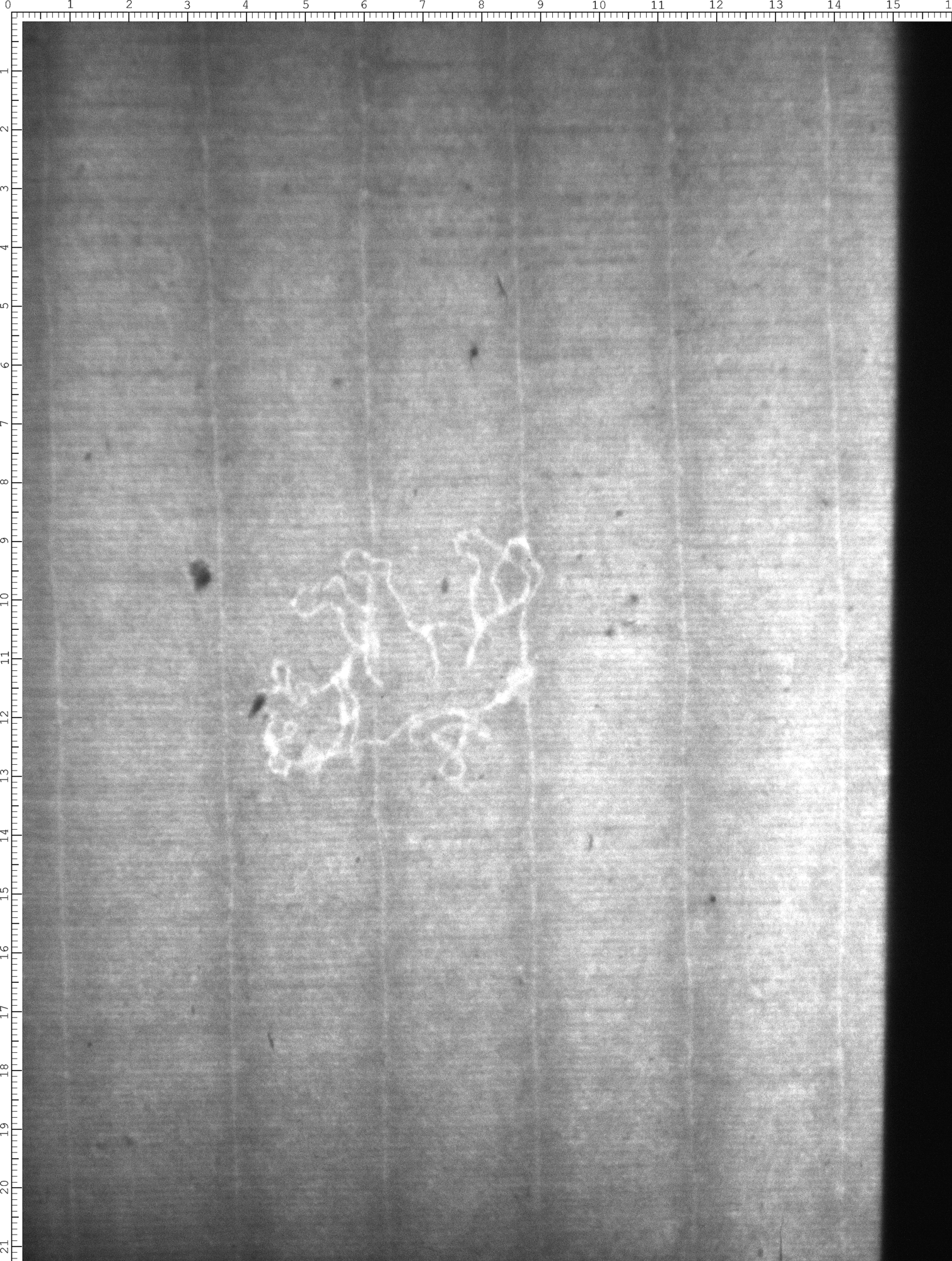 Watermark