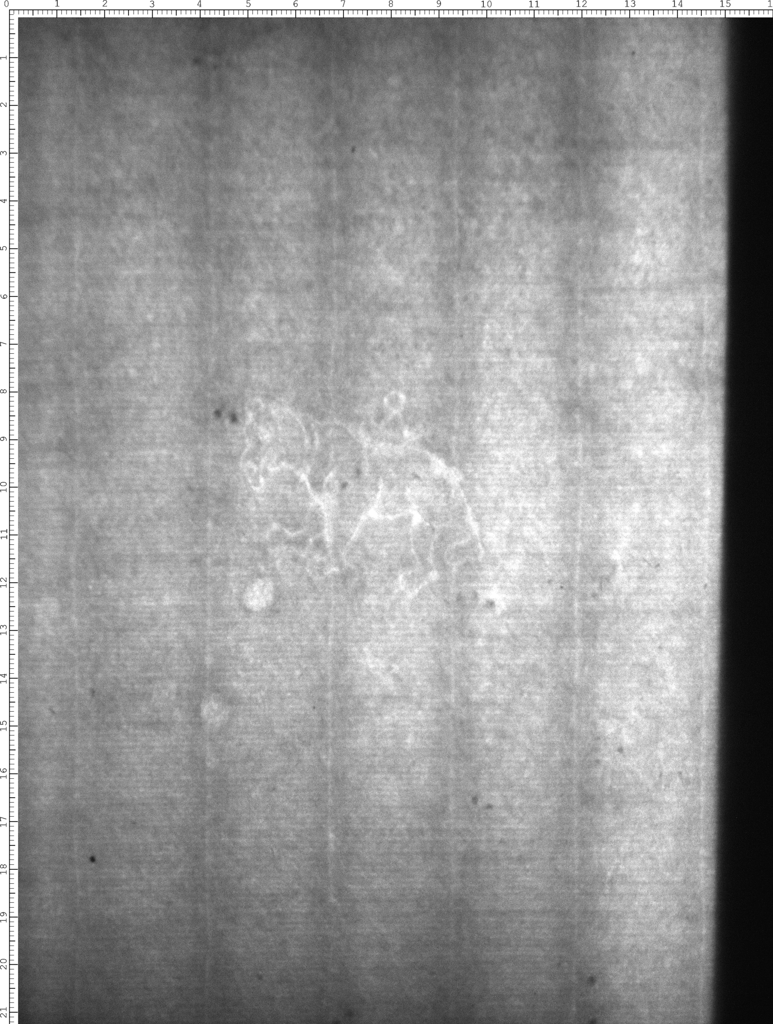 Watermark