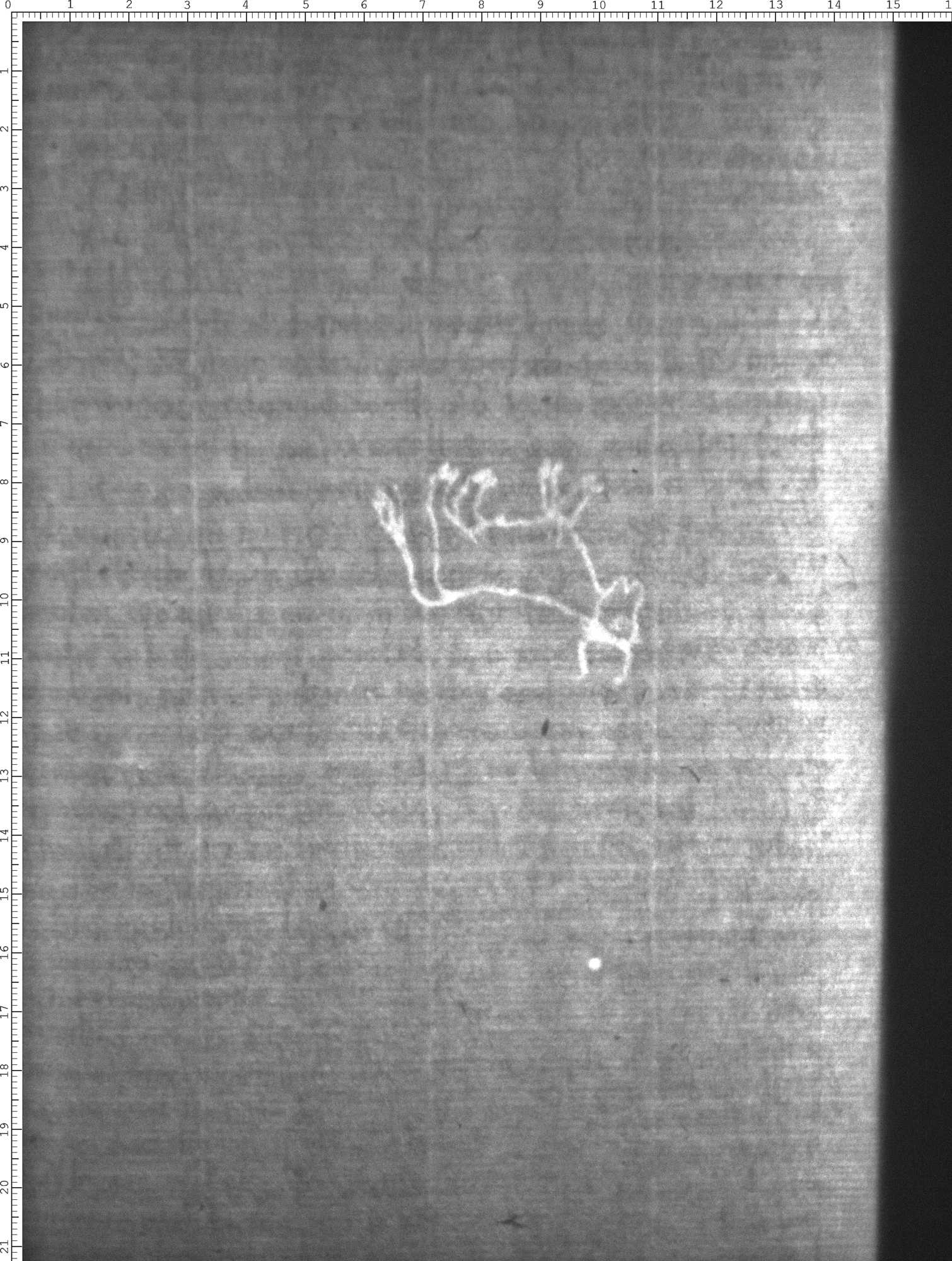 Watermark