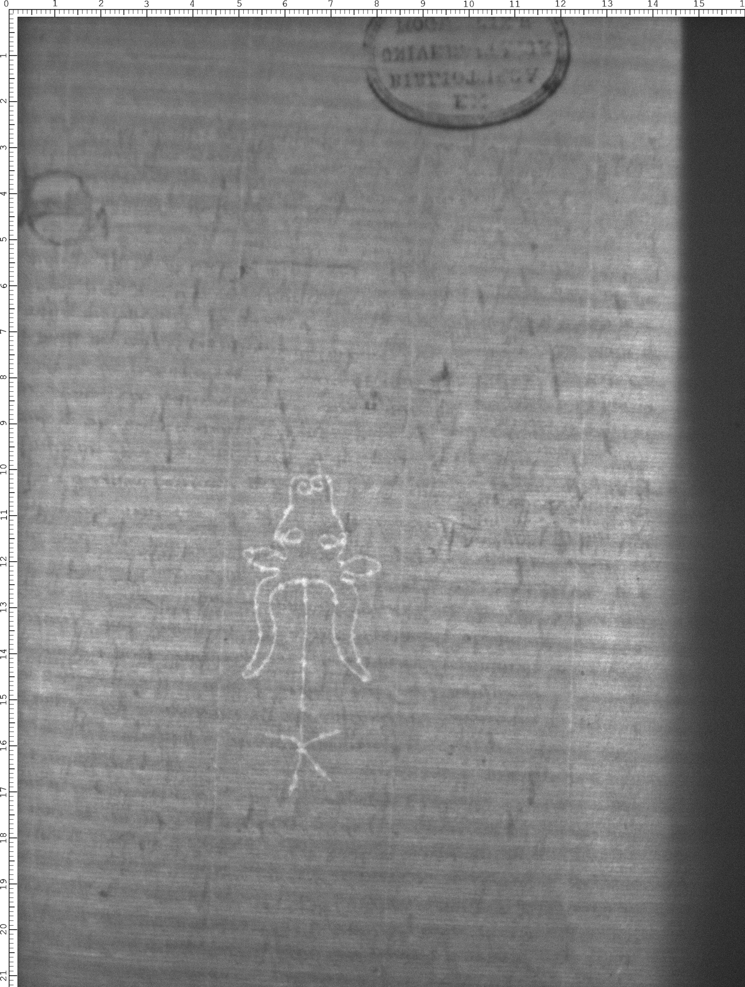 Watermark