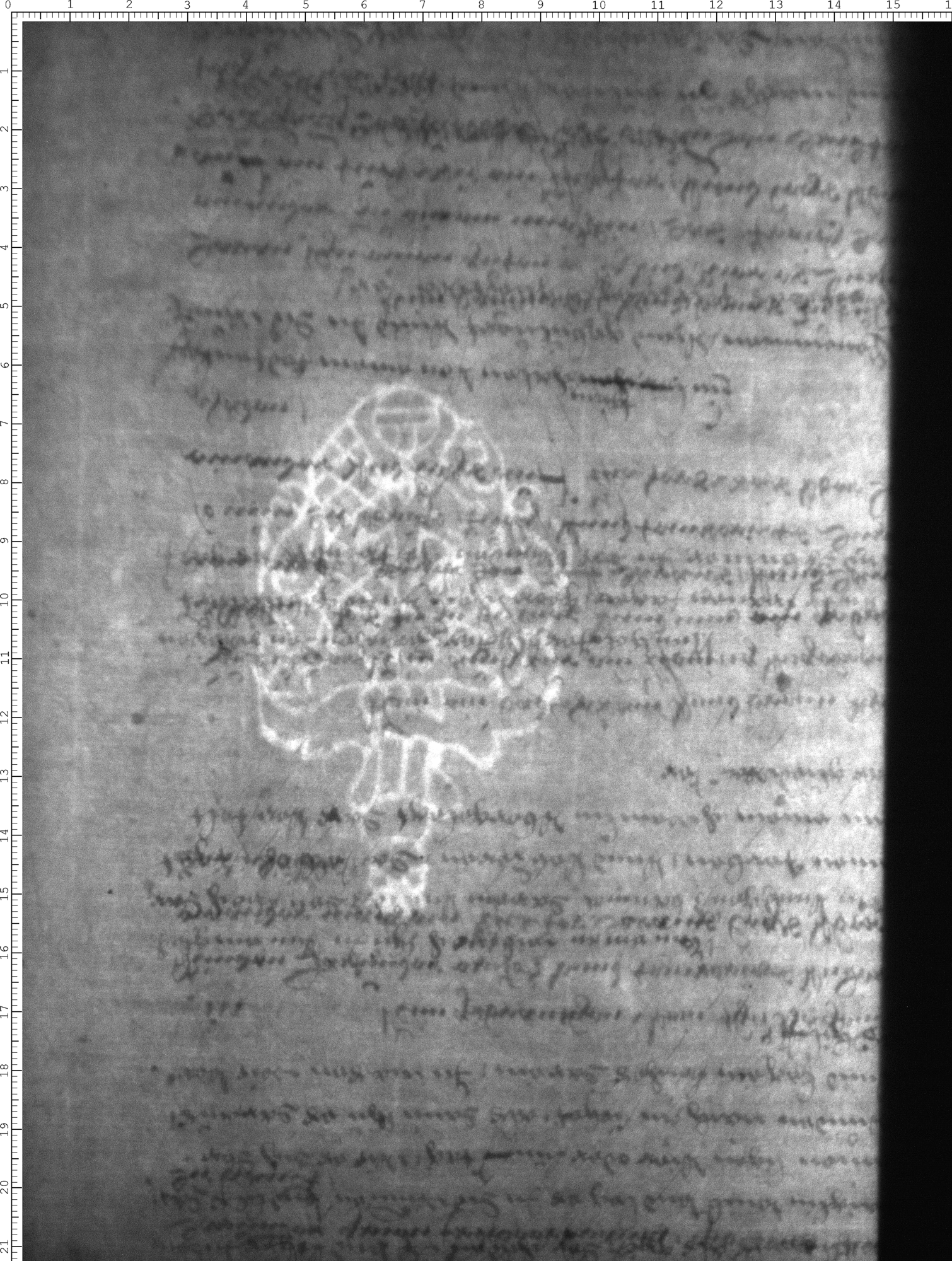 Watermark