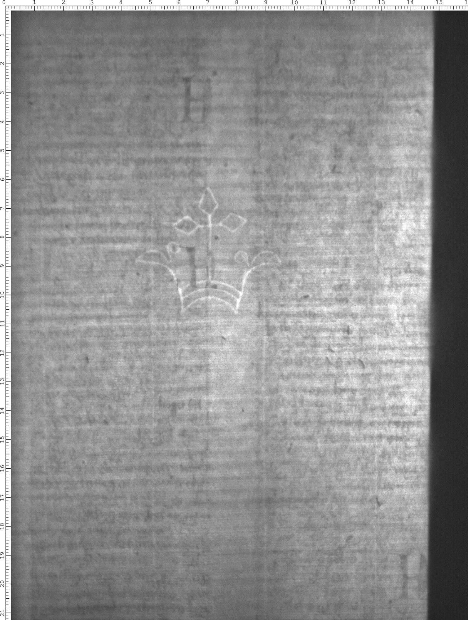 Watermark