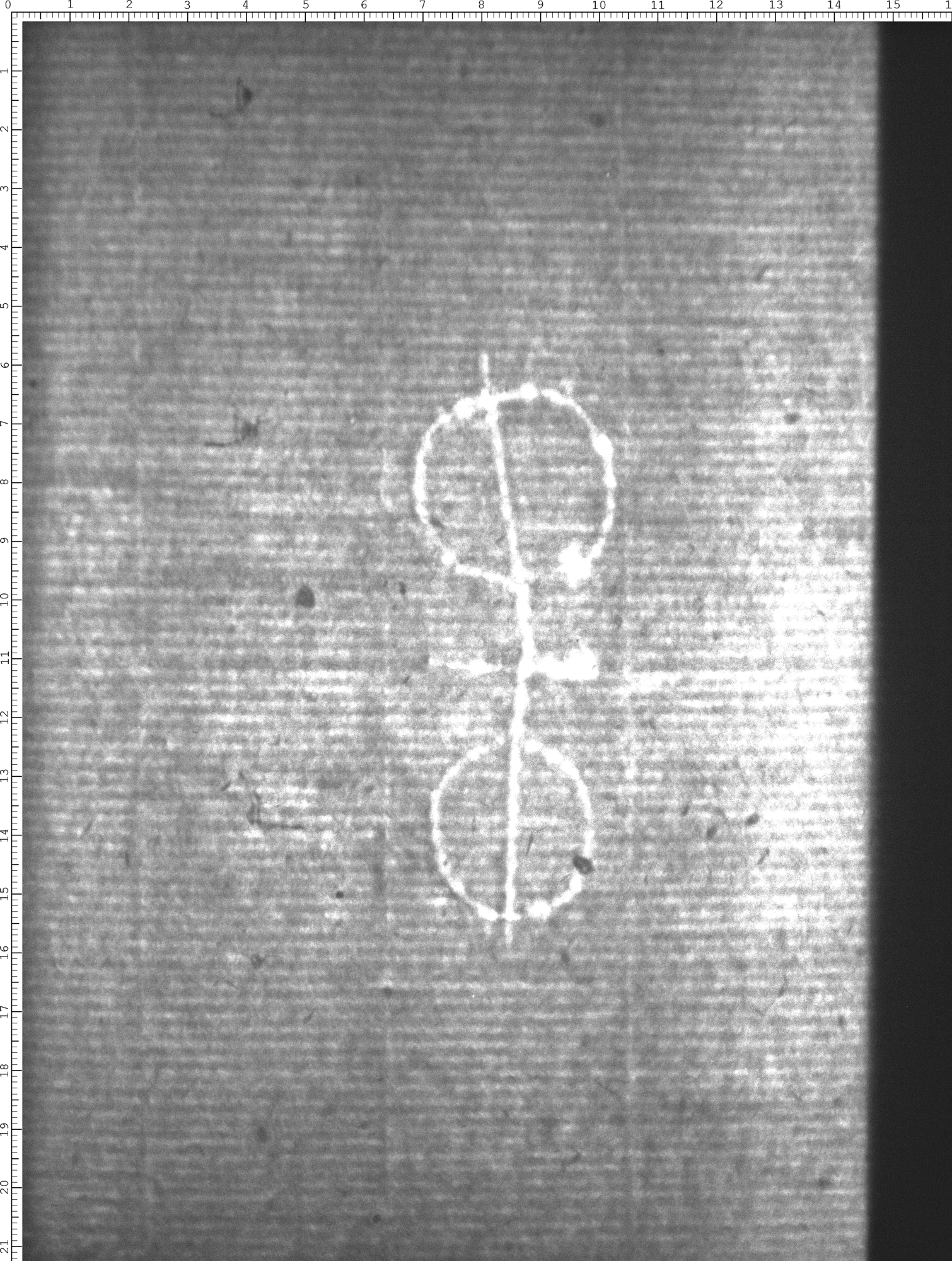 Watermark