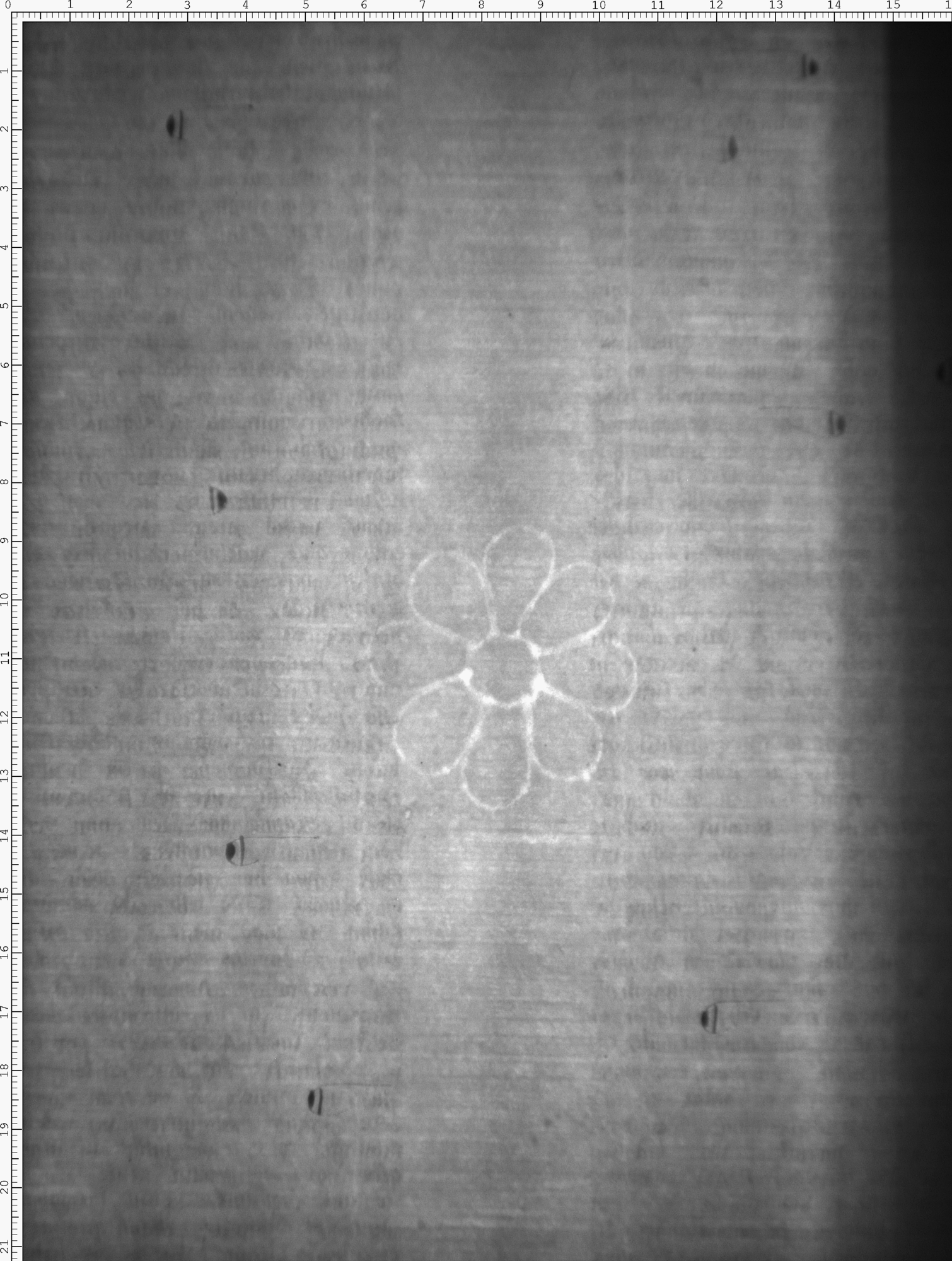 Watermark