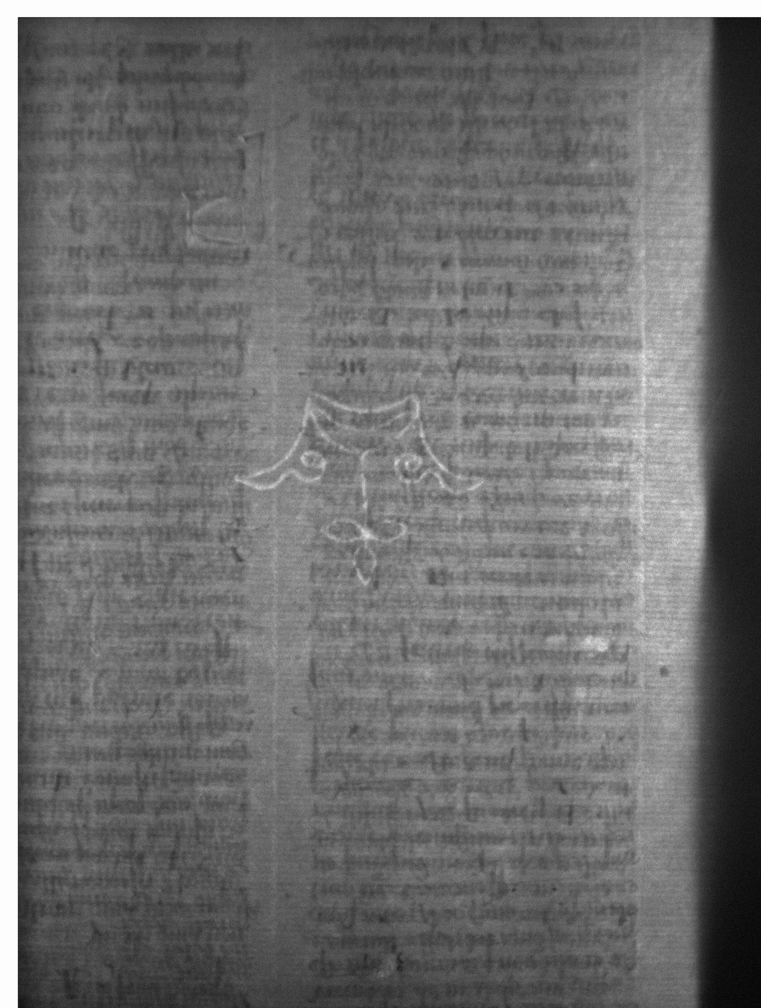Watermark
