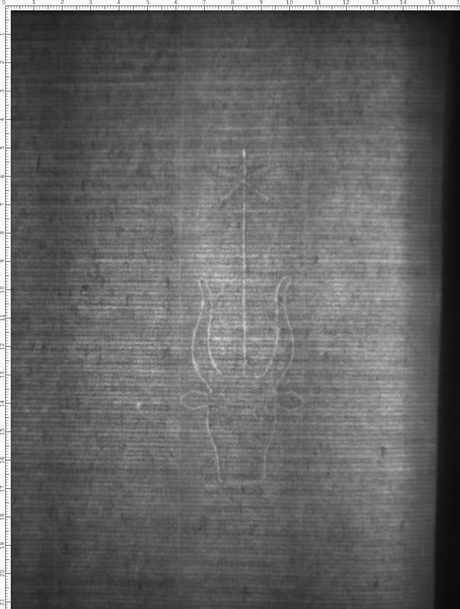 Watermark