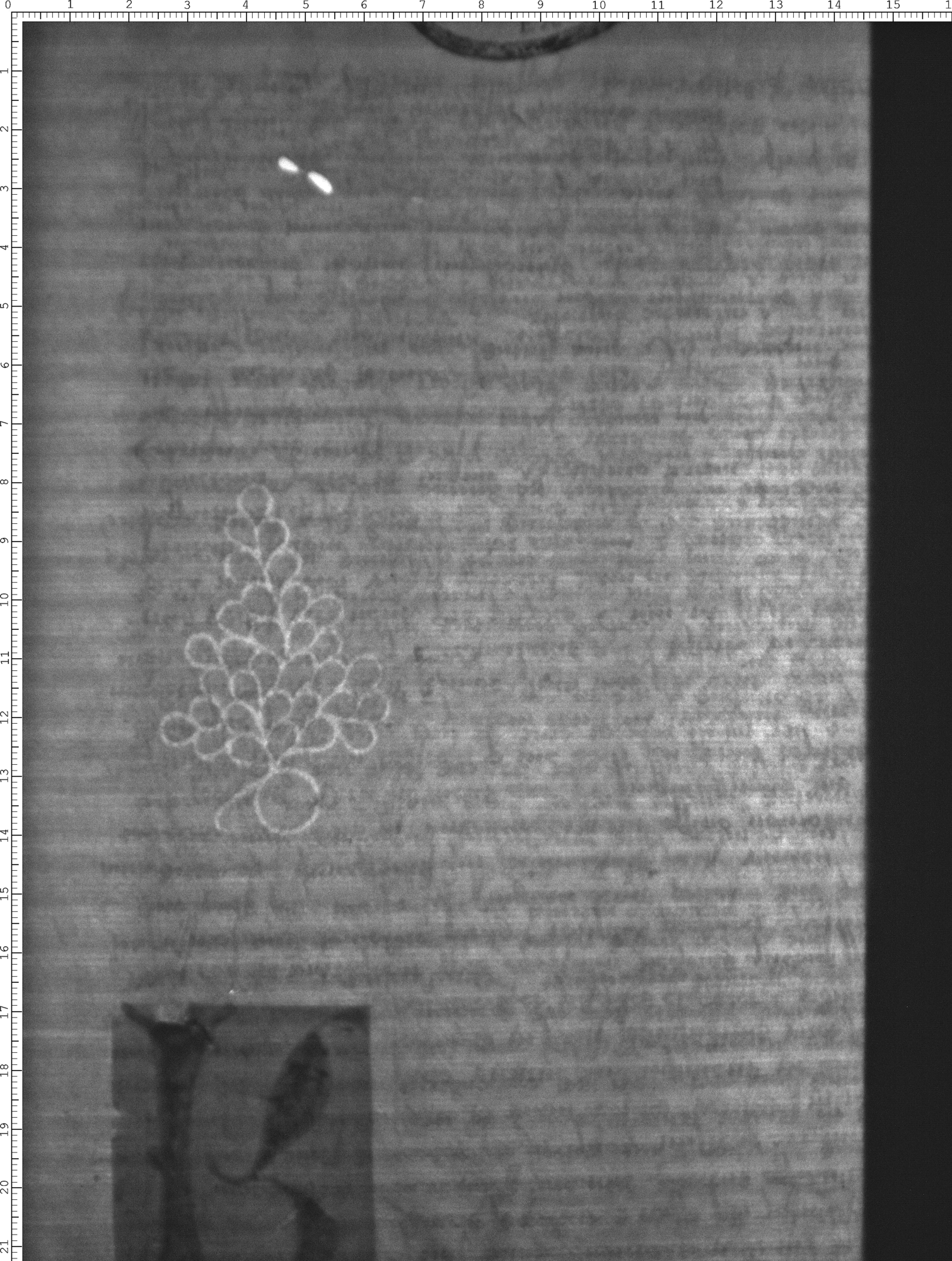 Watermark