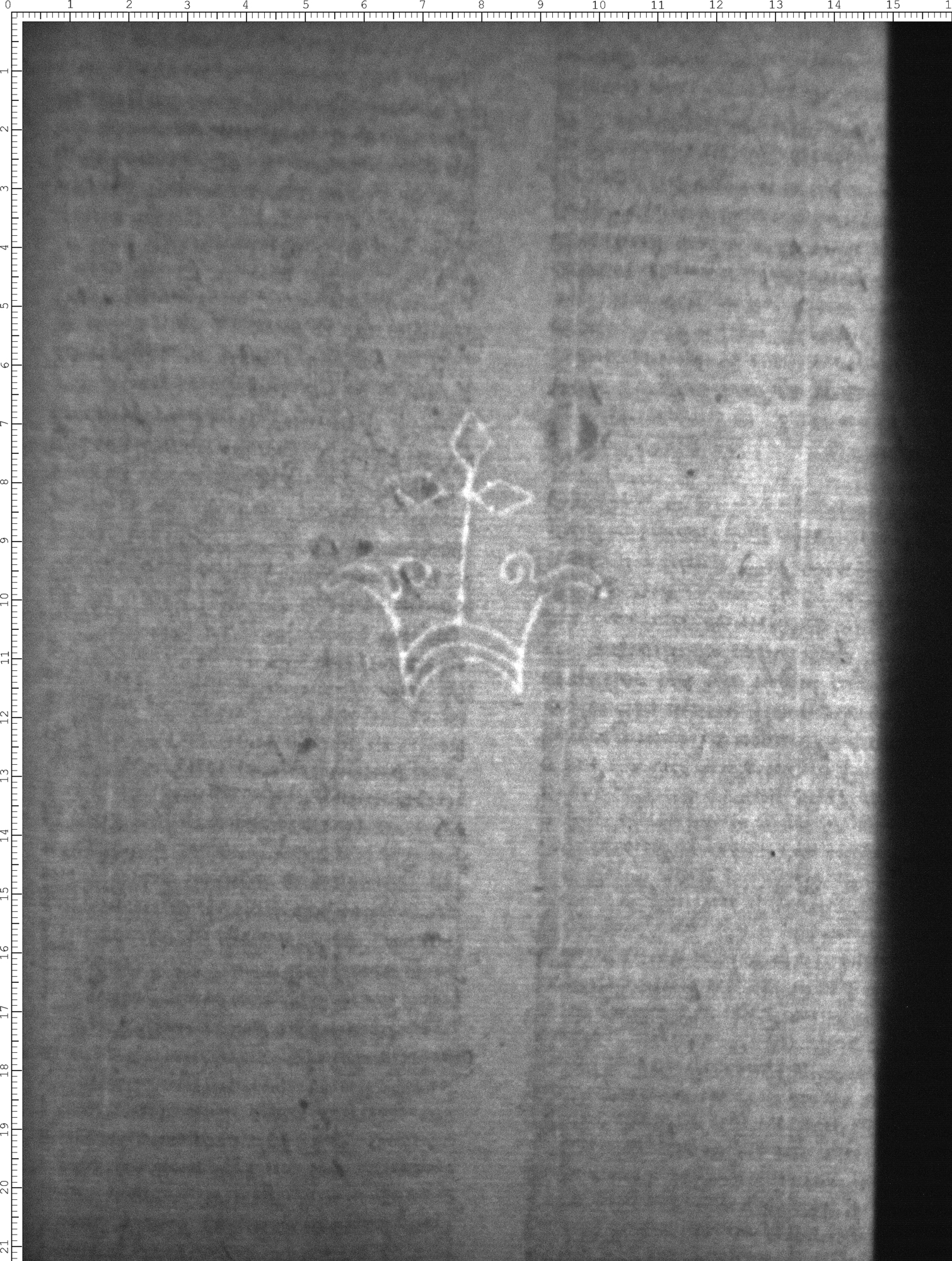 Watermark