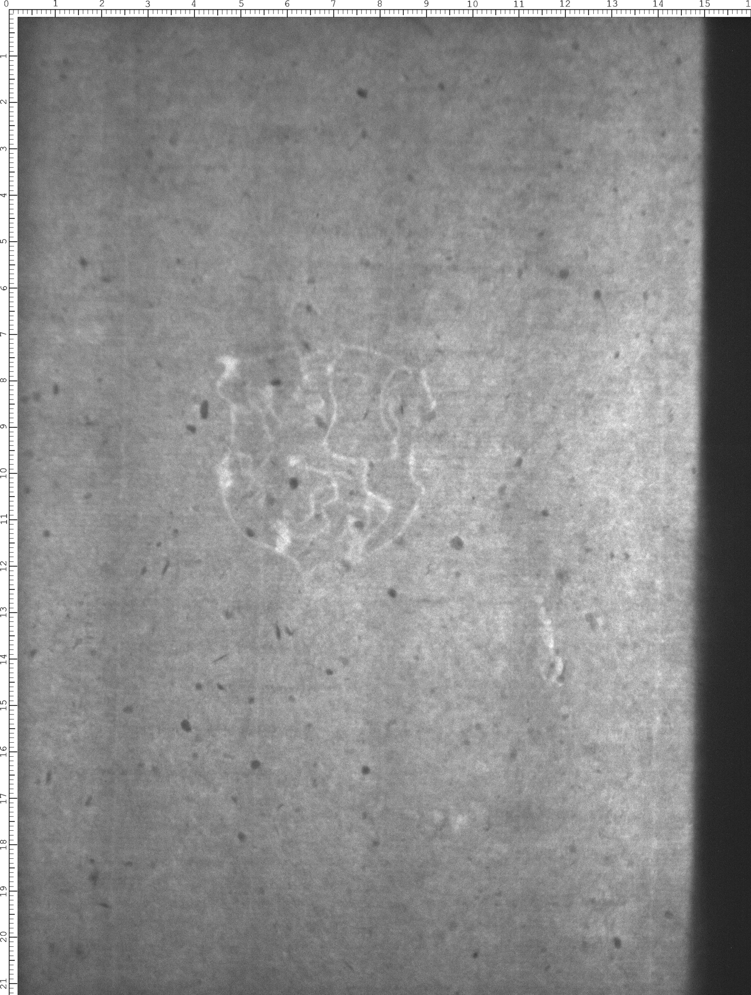 Watermark