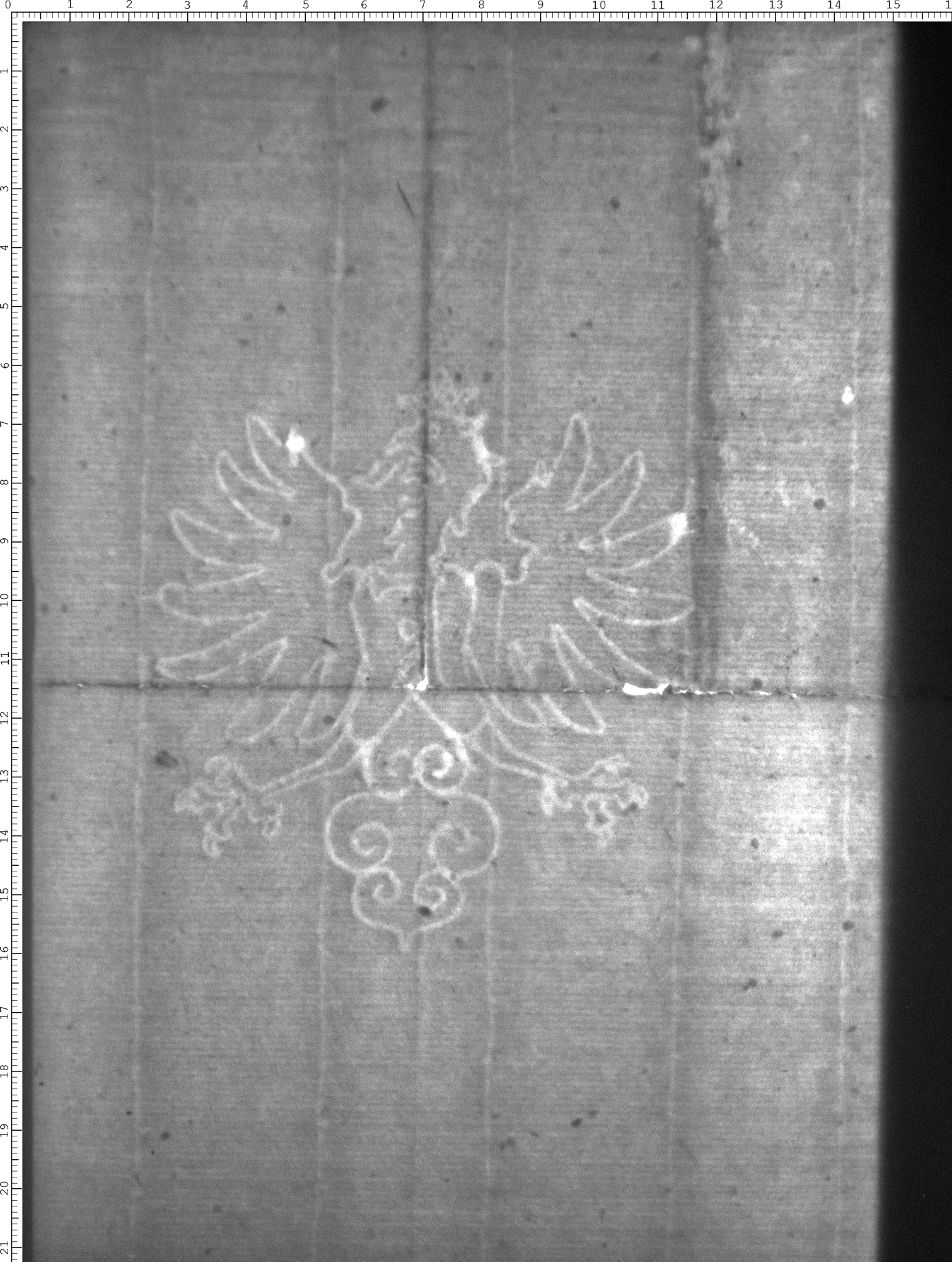 Watermark