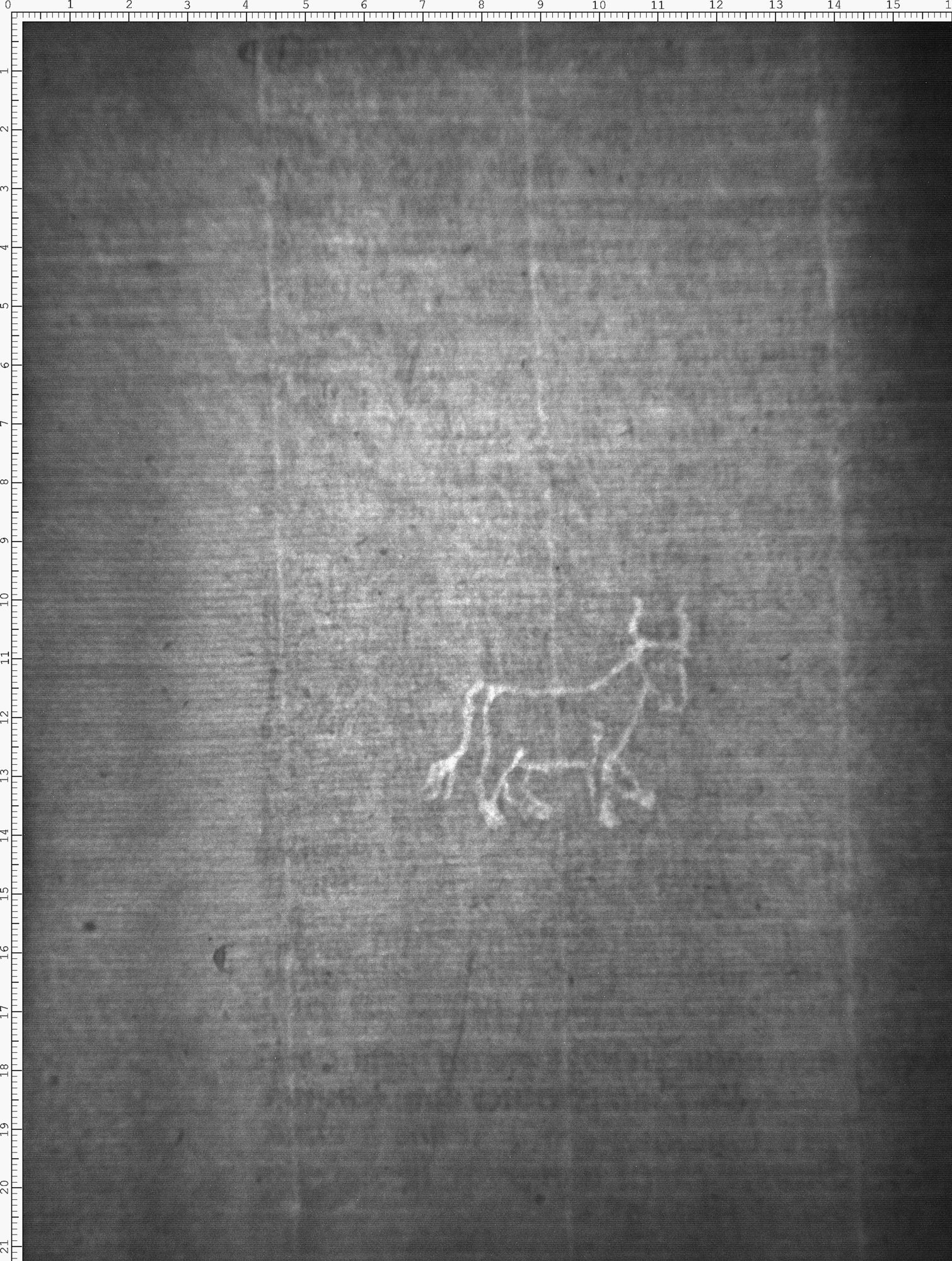 Watermark