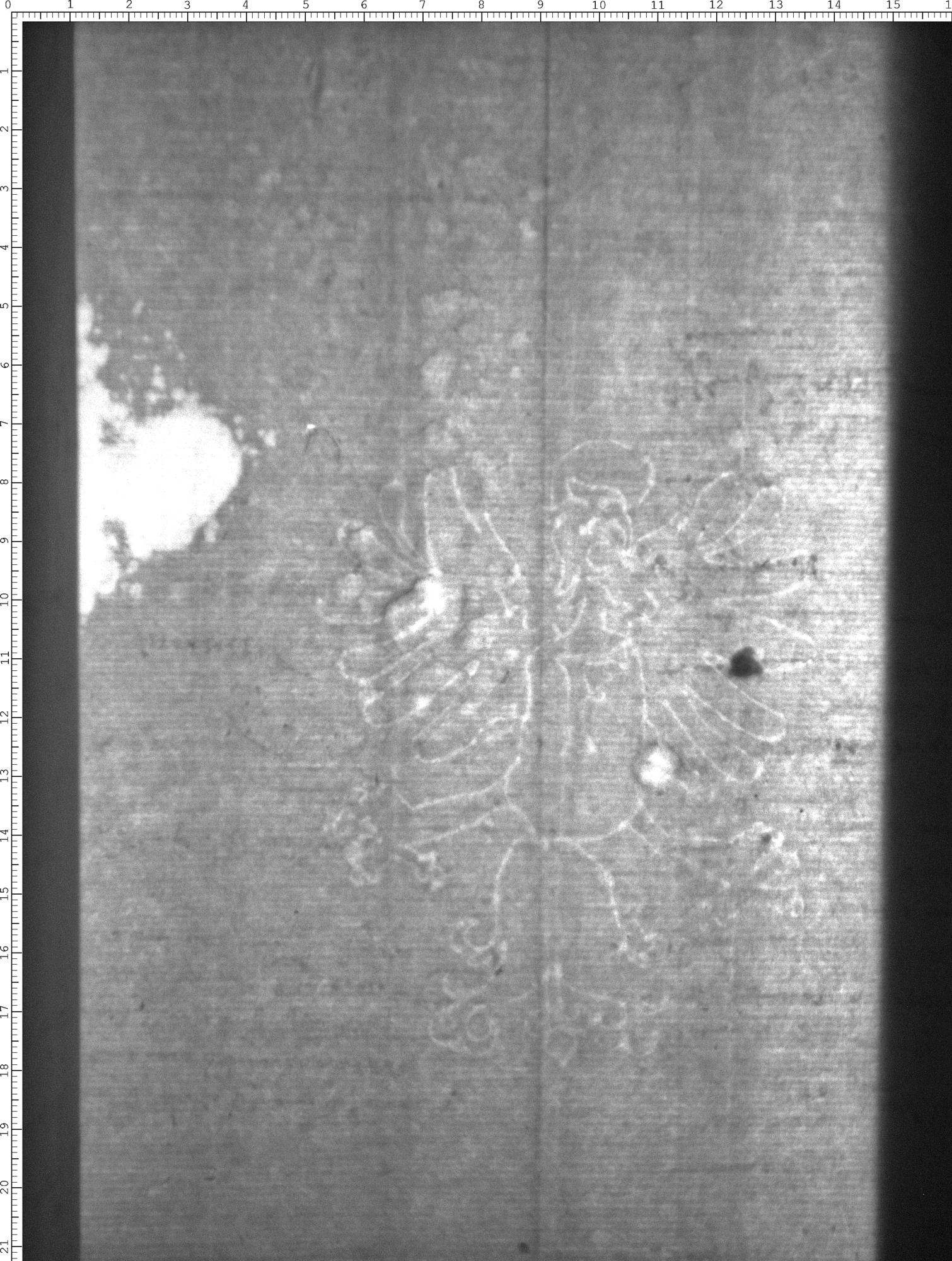 Watermark