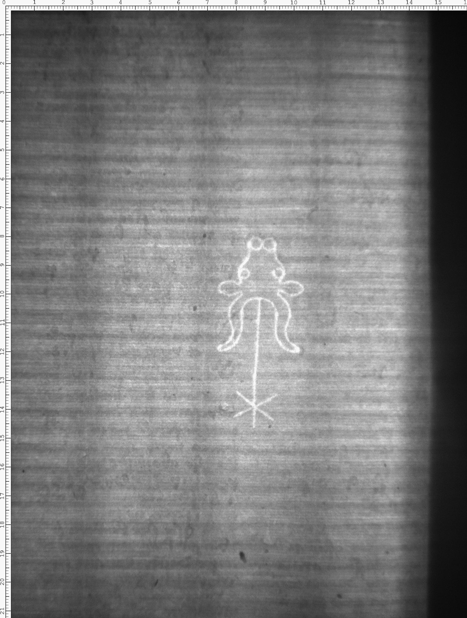 Watermark