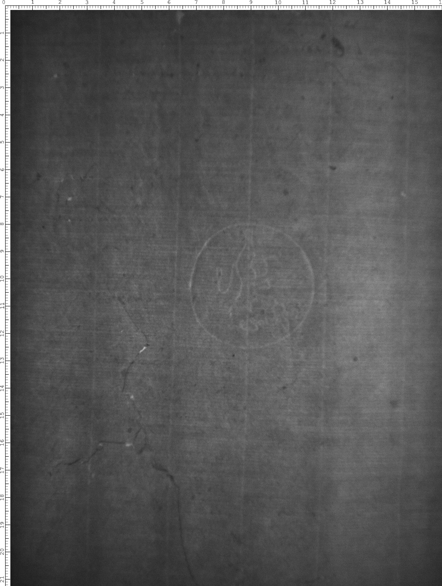 Watermark