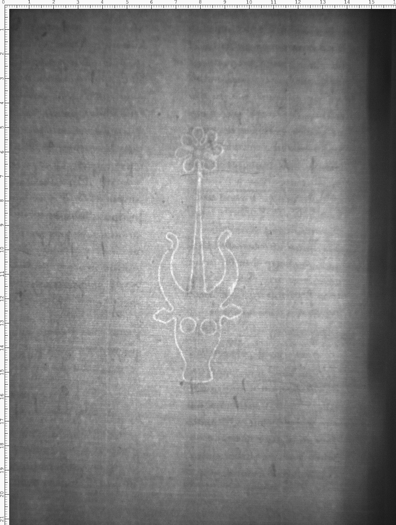 Watermark