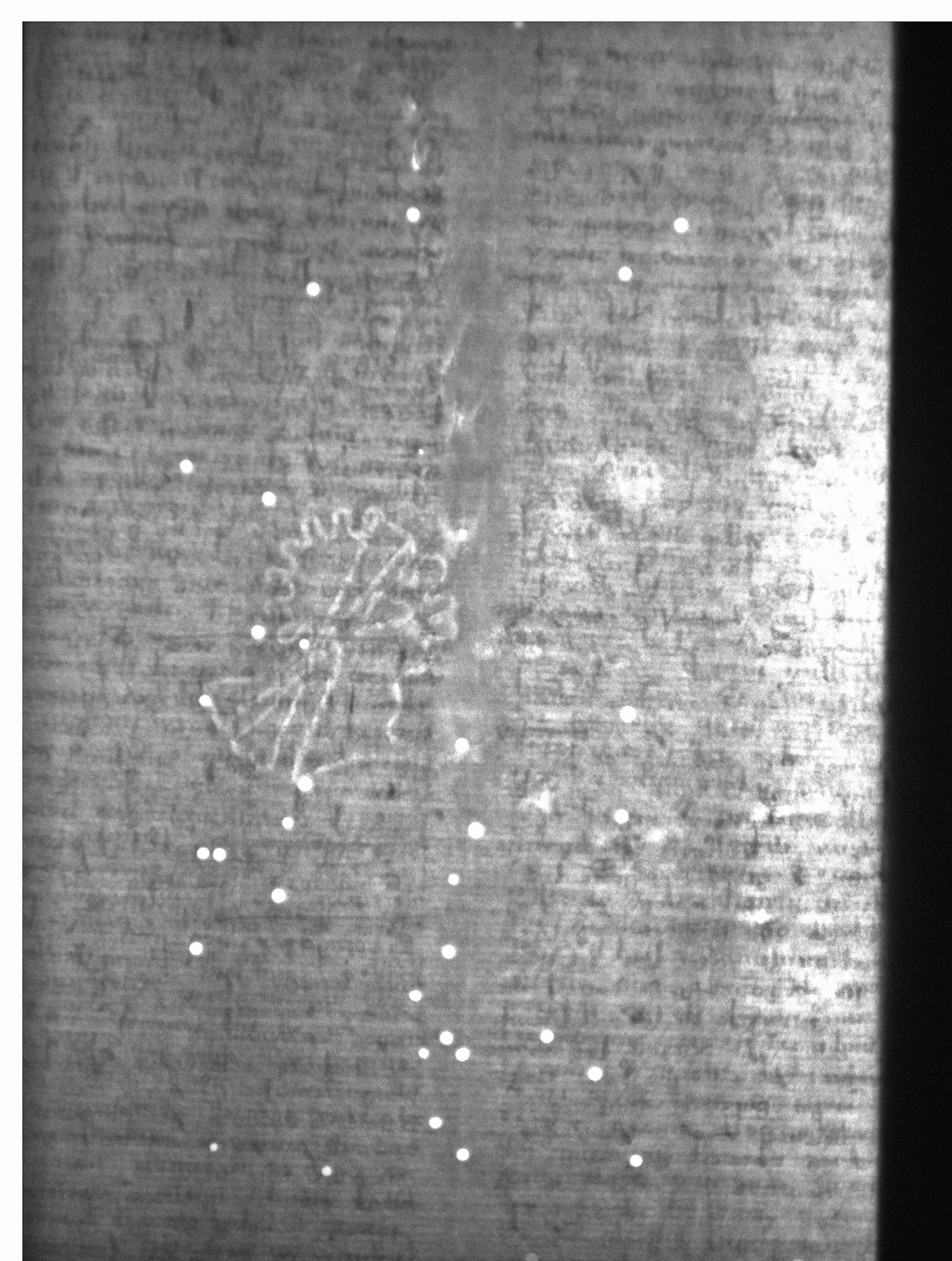 Watermark