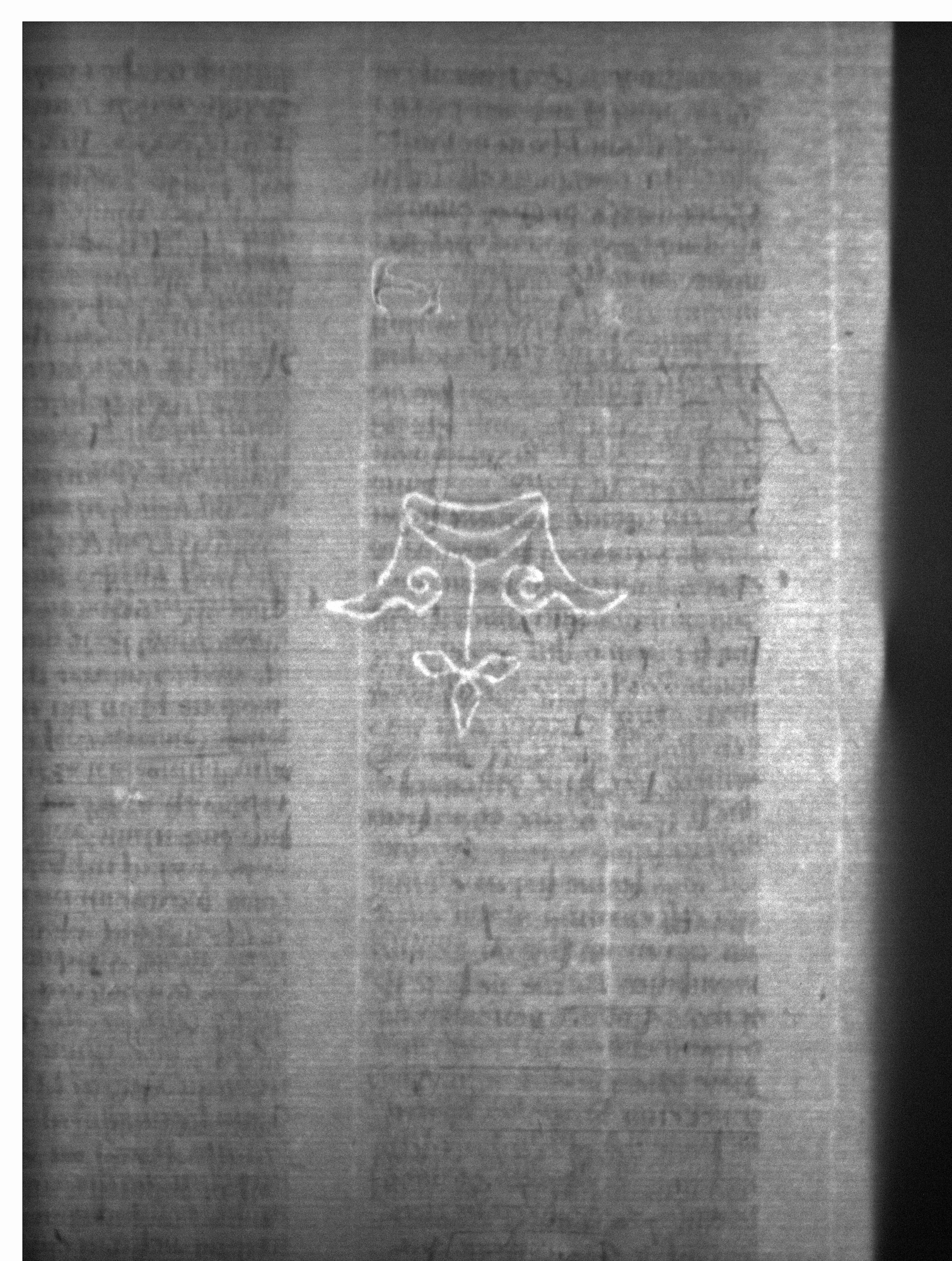Watermark