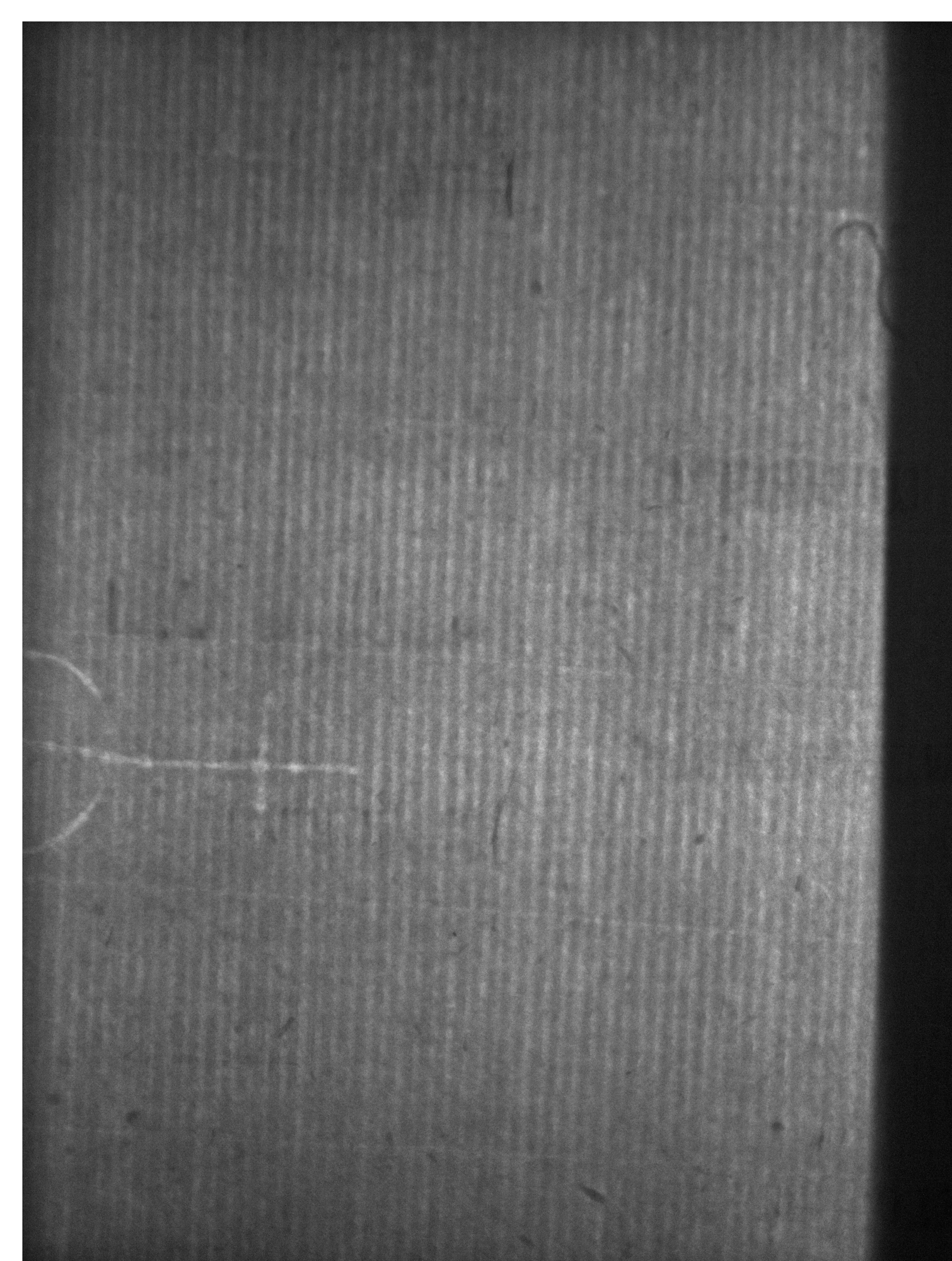 Watermark