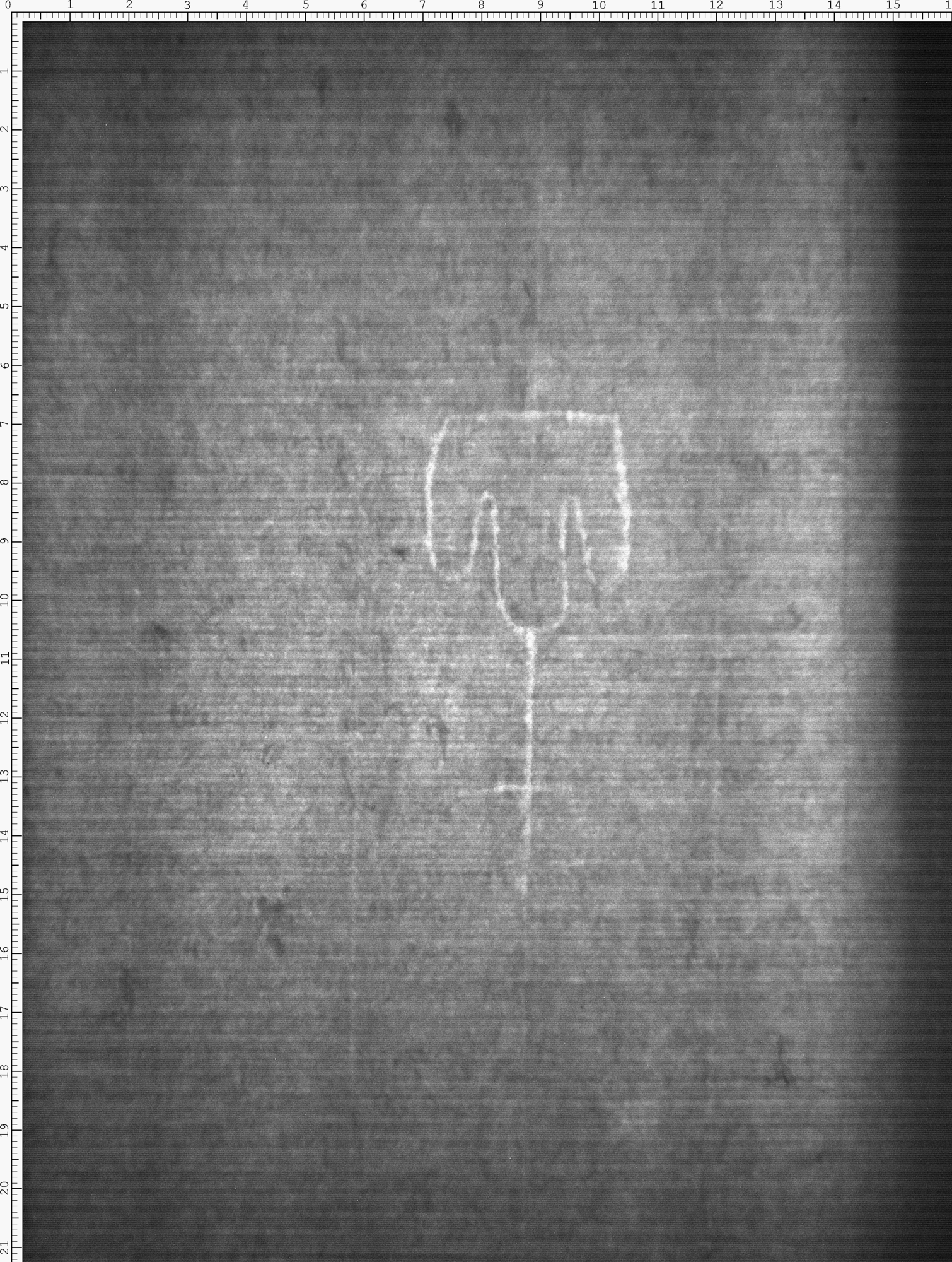 Watermark
