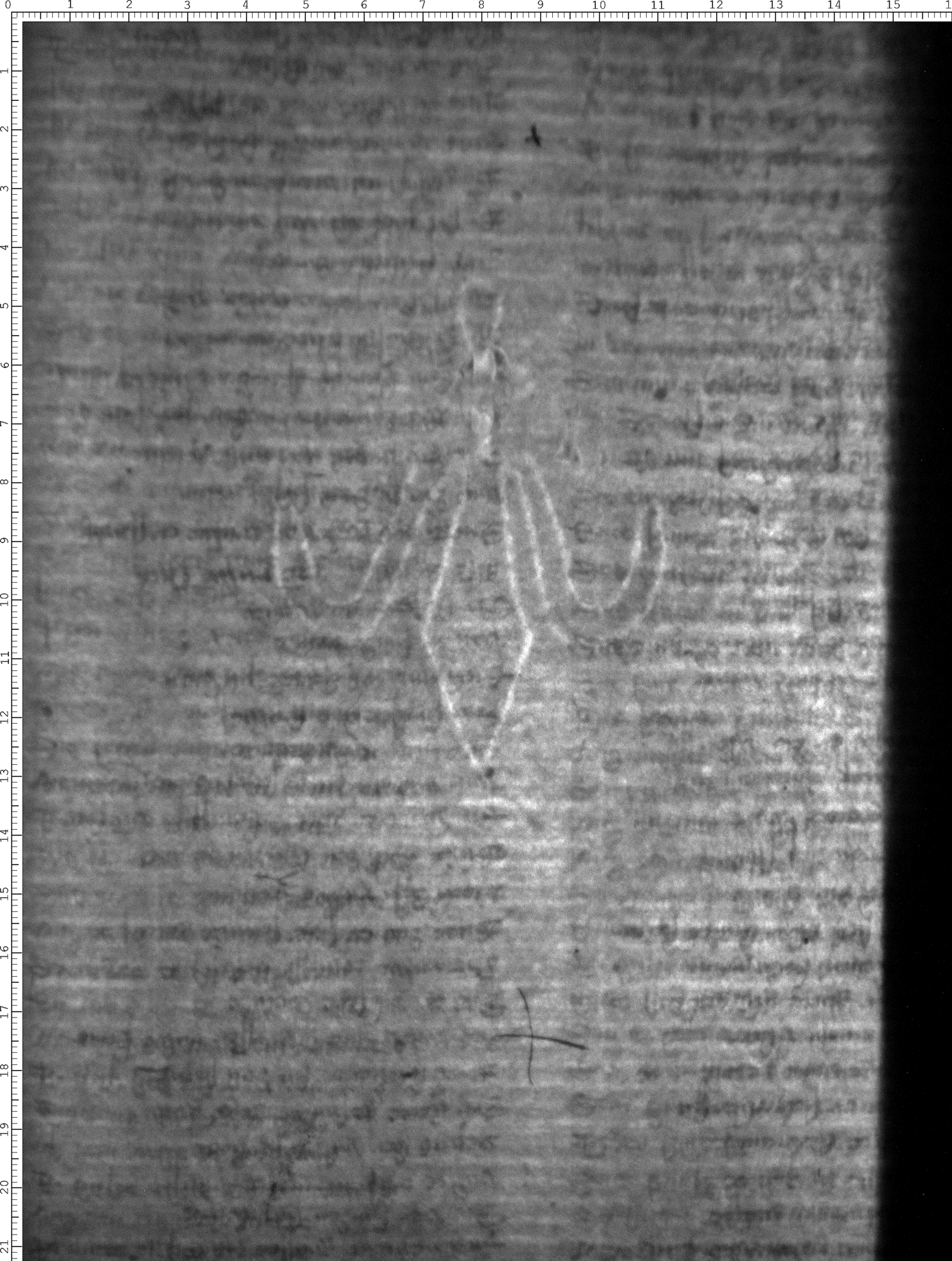 Watermark
