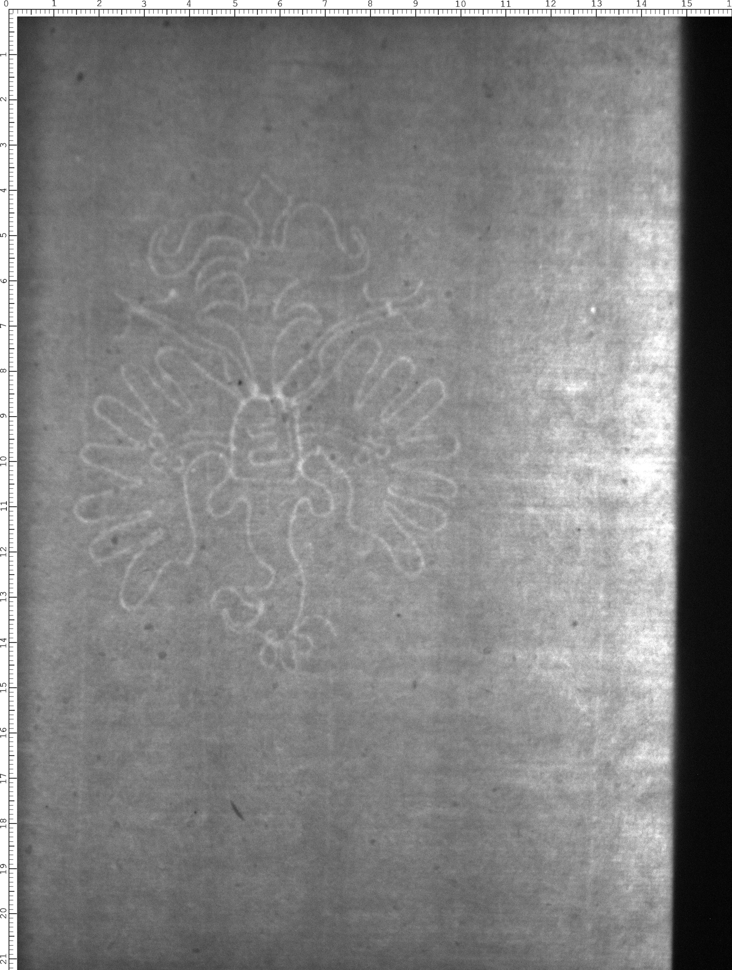 Watermark