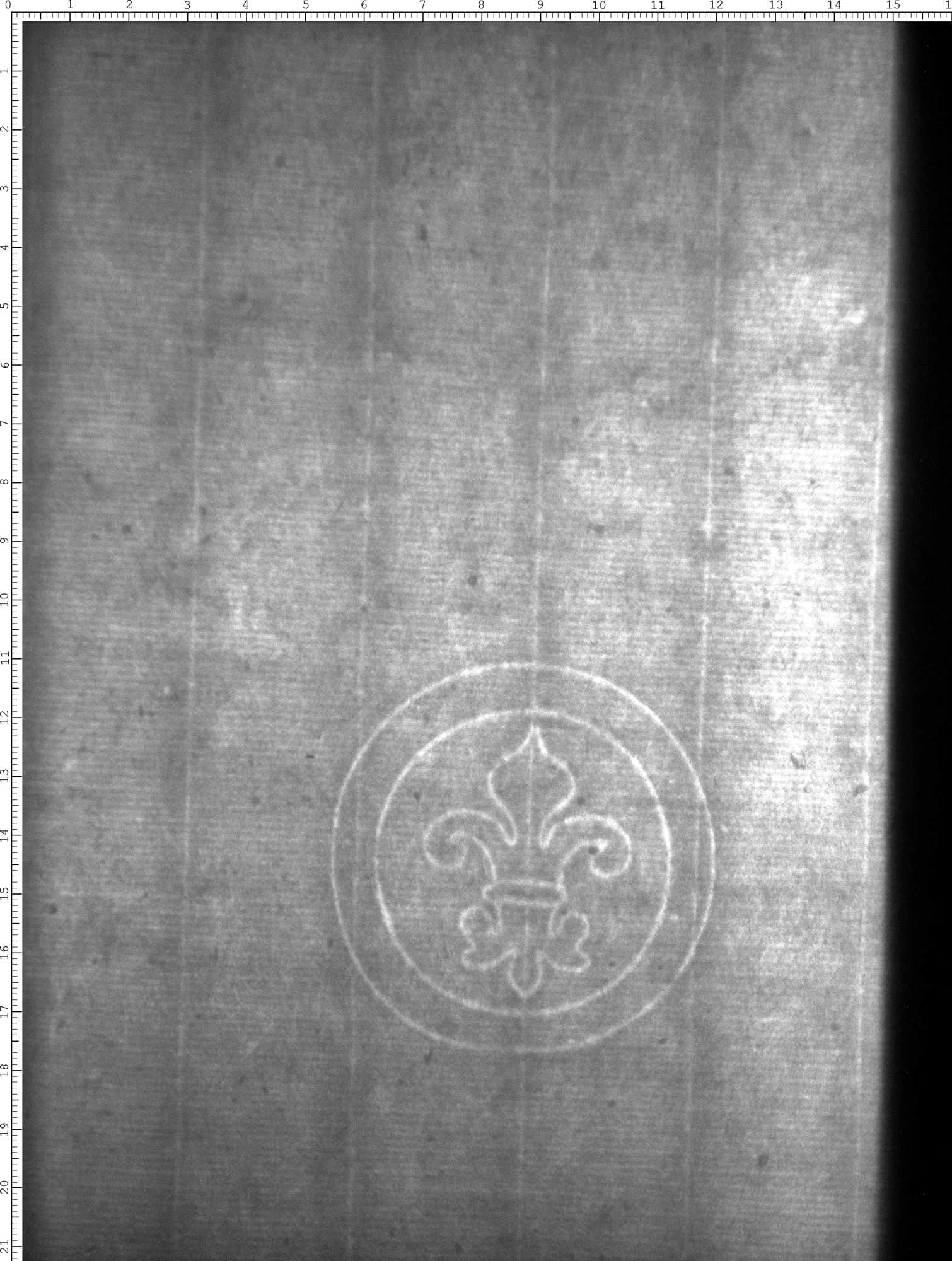 Watermark