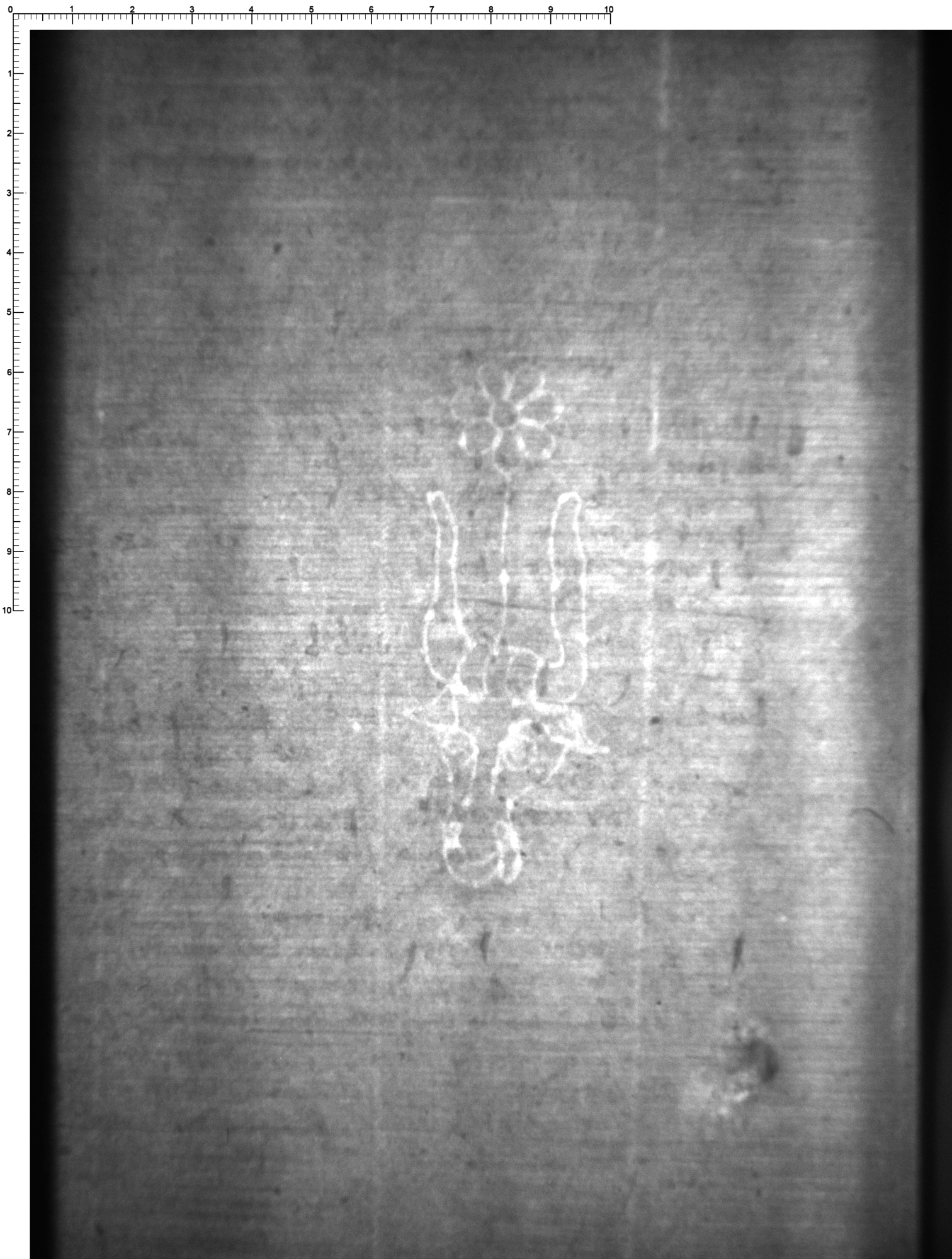 Watermark