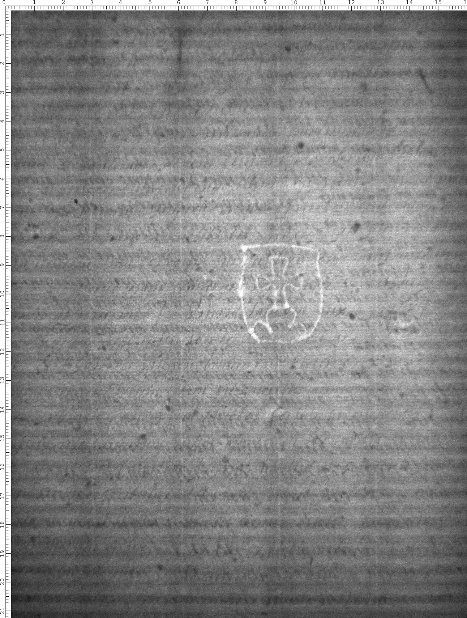 Watermark