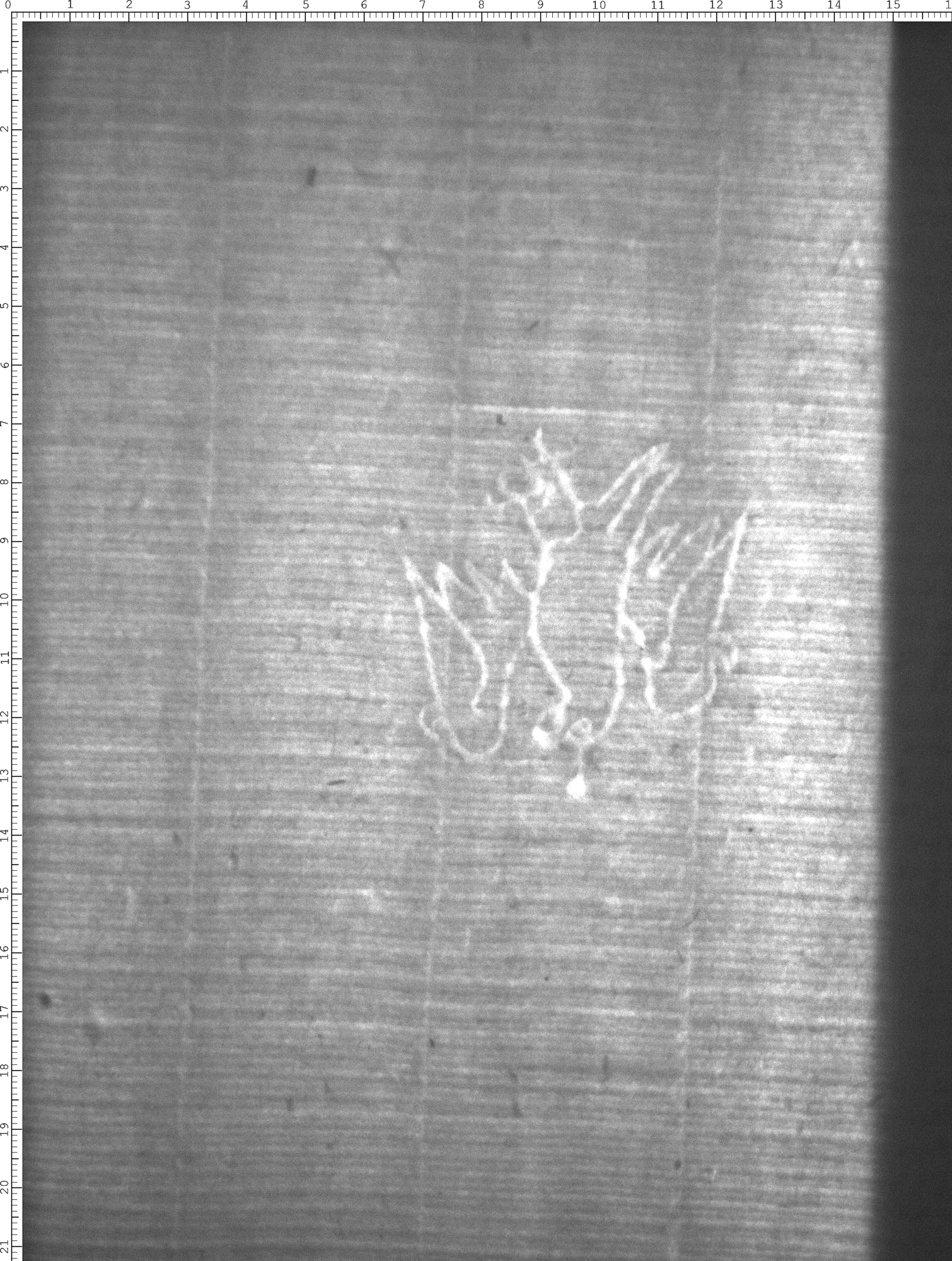 Watermark