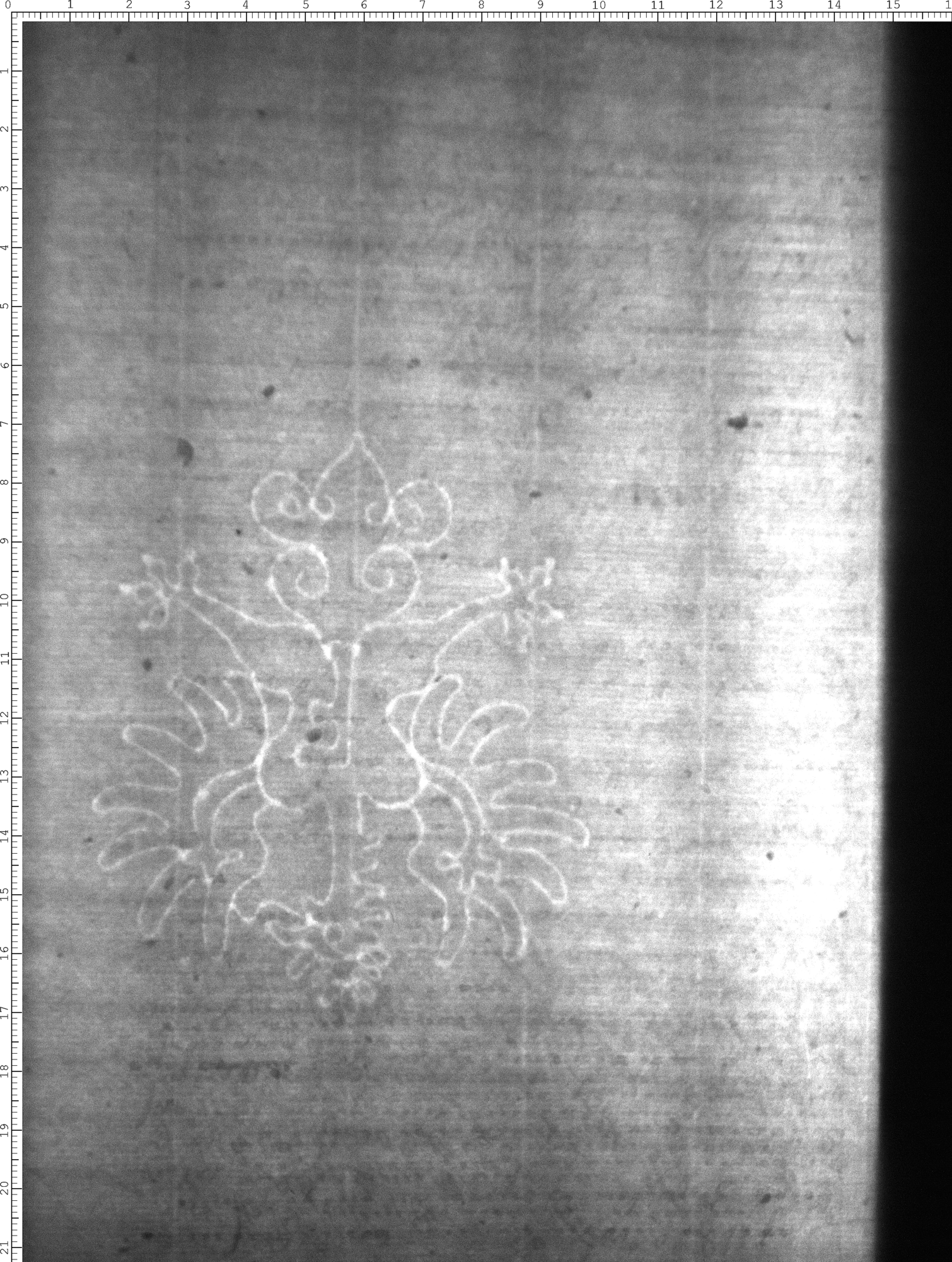 Watermark