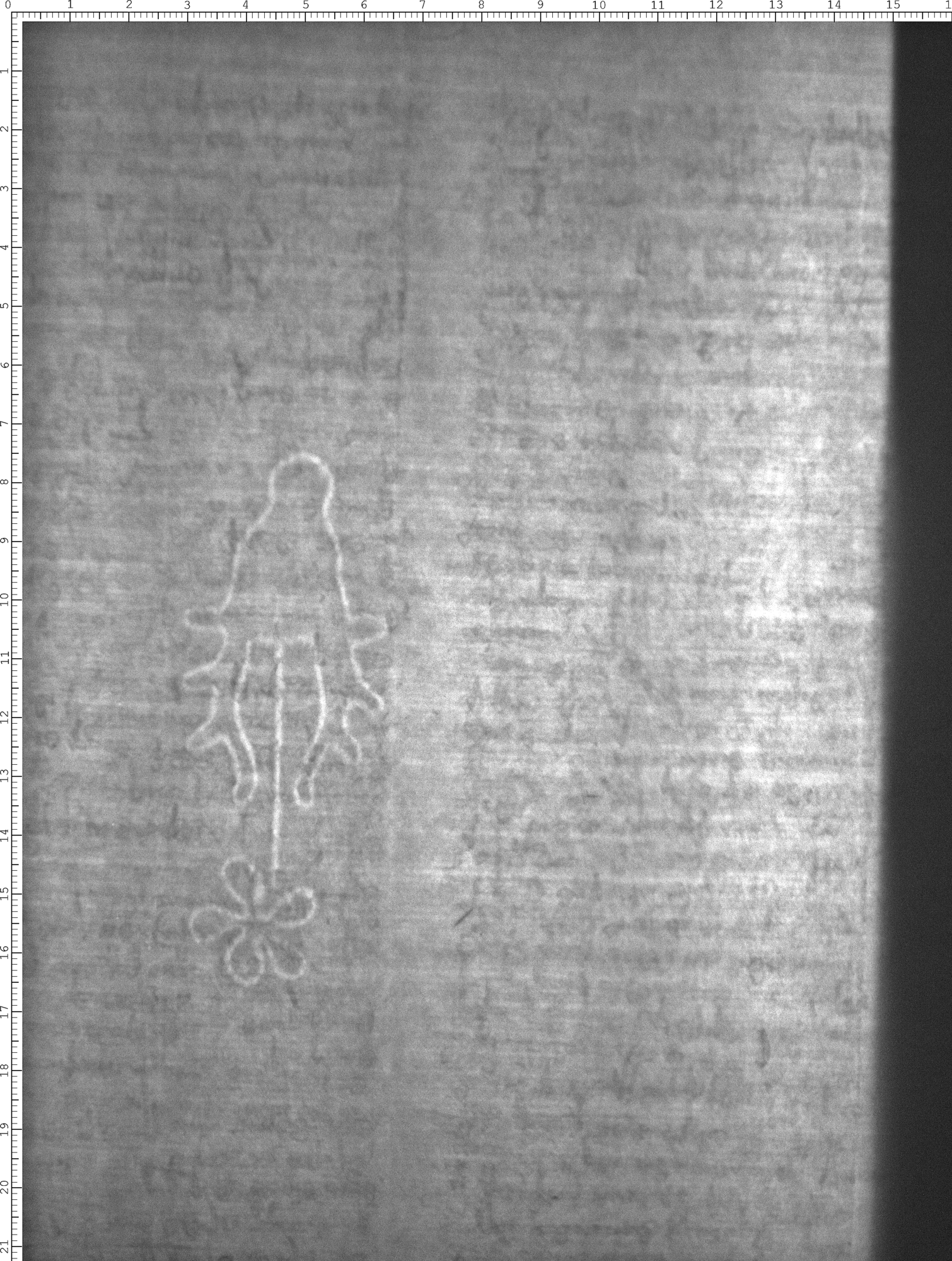 Watermark