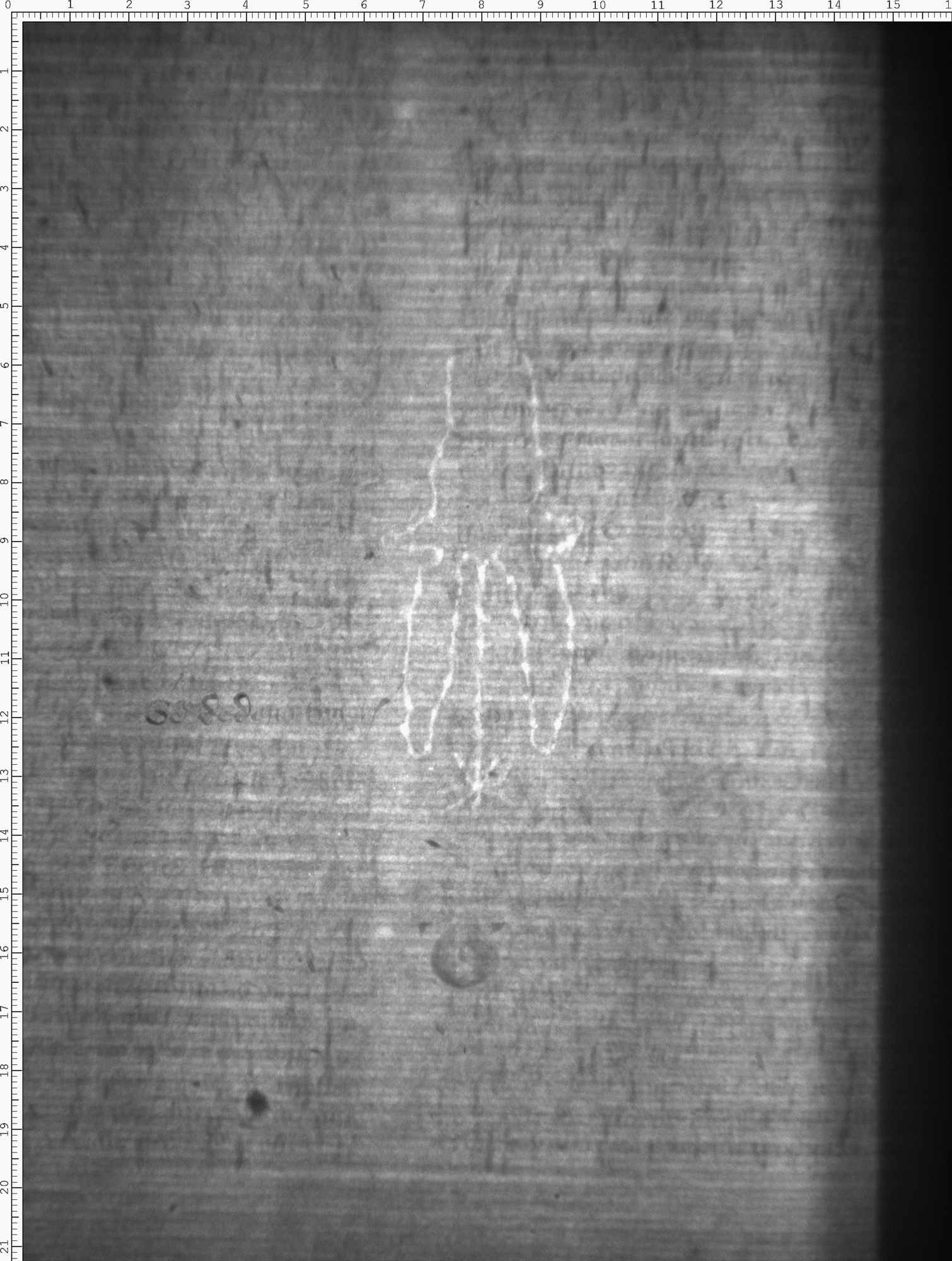 Watermark