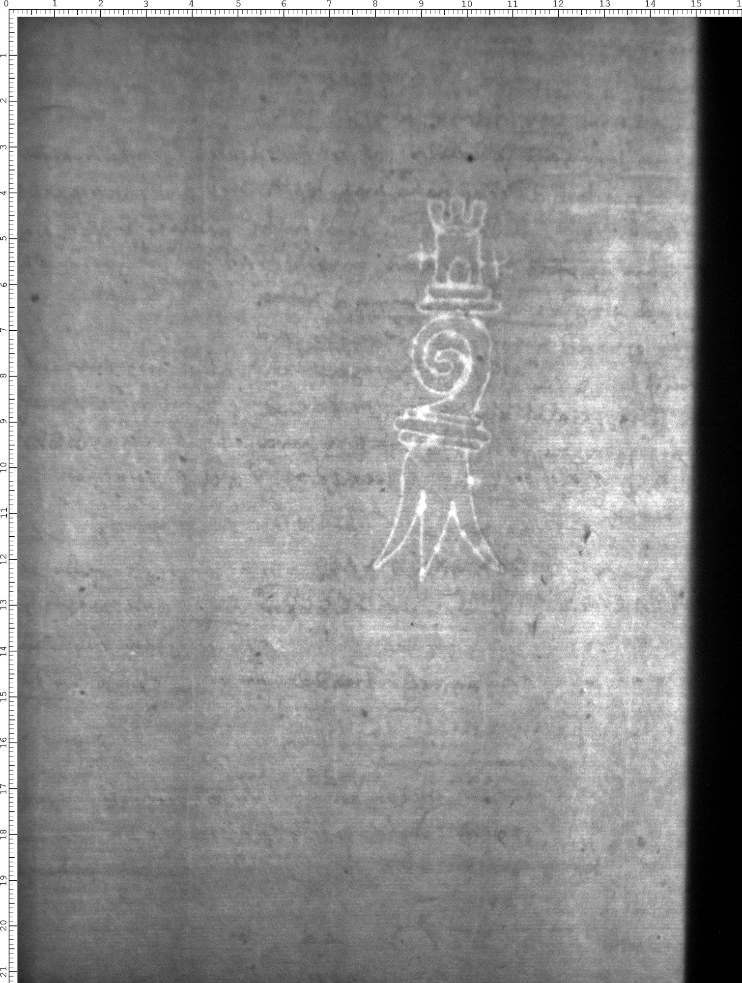 Watermark