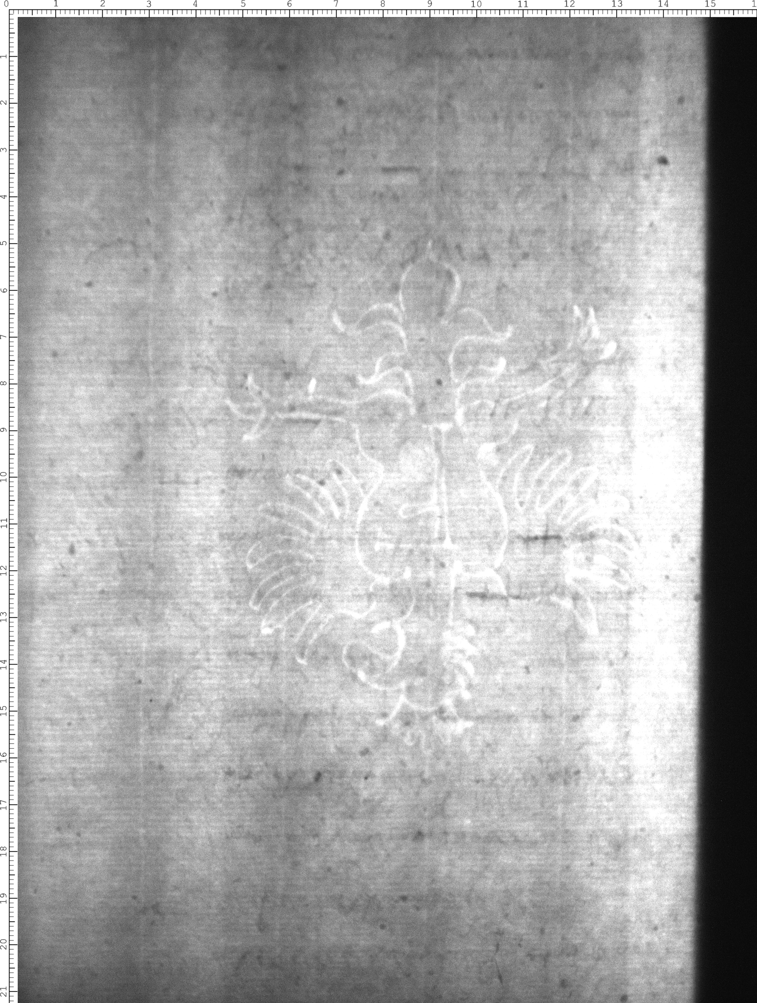 Watermark
