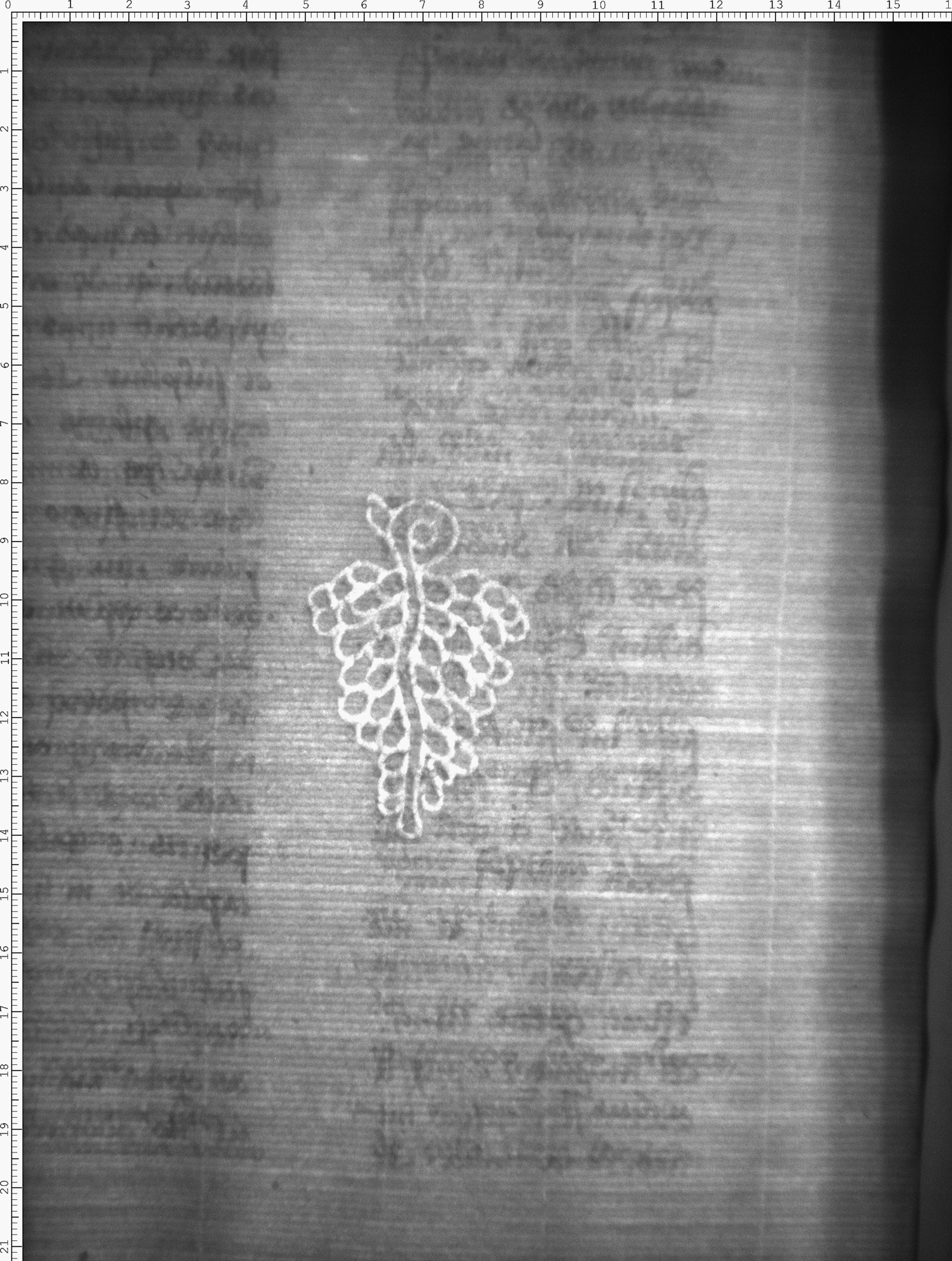 Watermark
