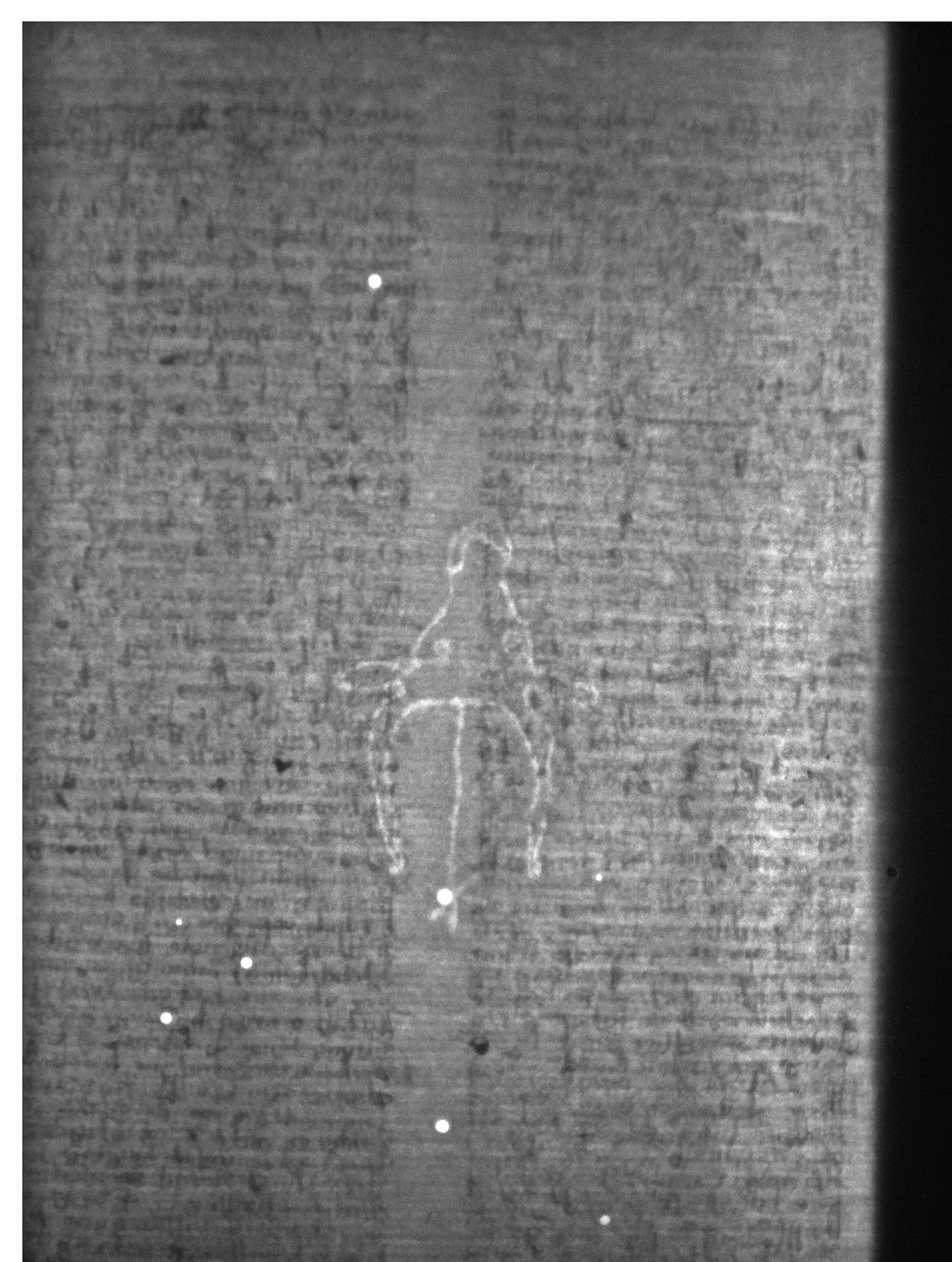 Watermark