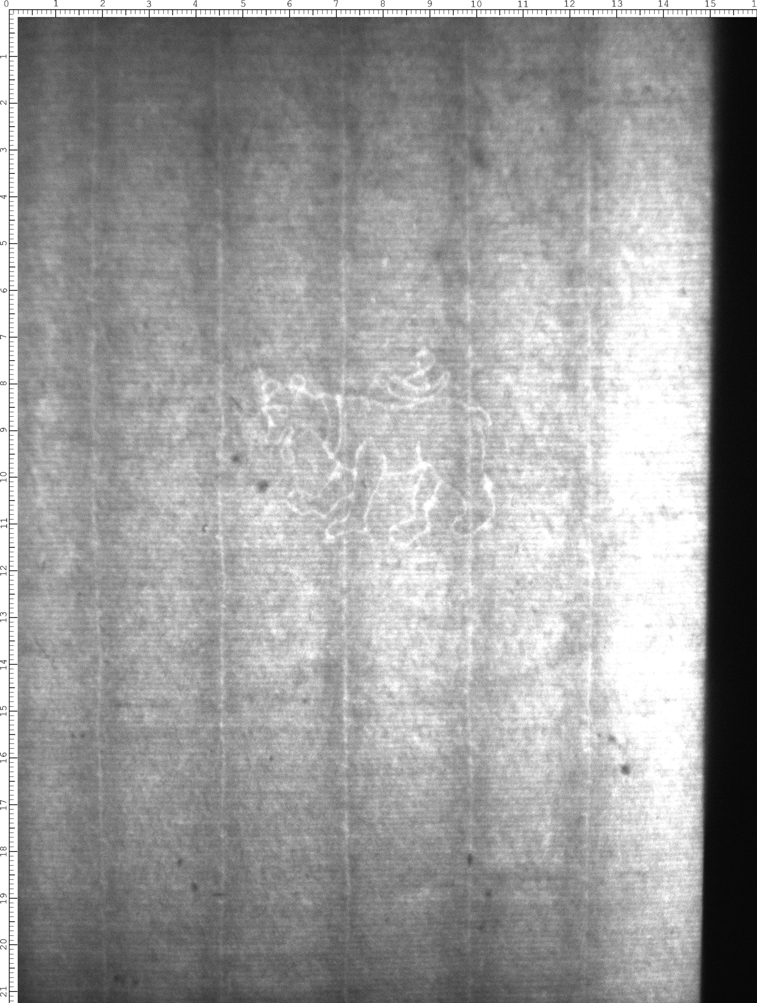 Watermark