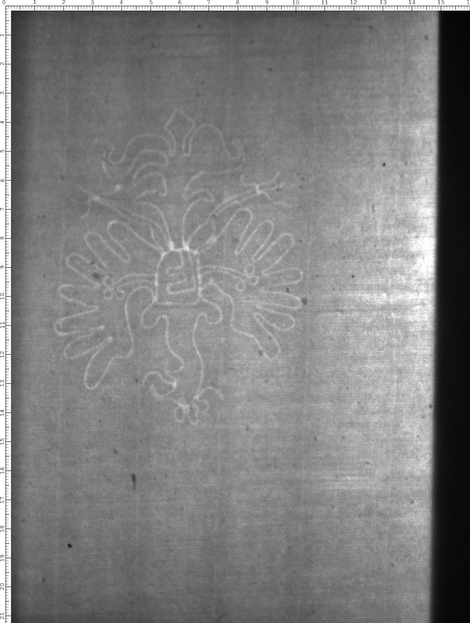 Watermark