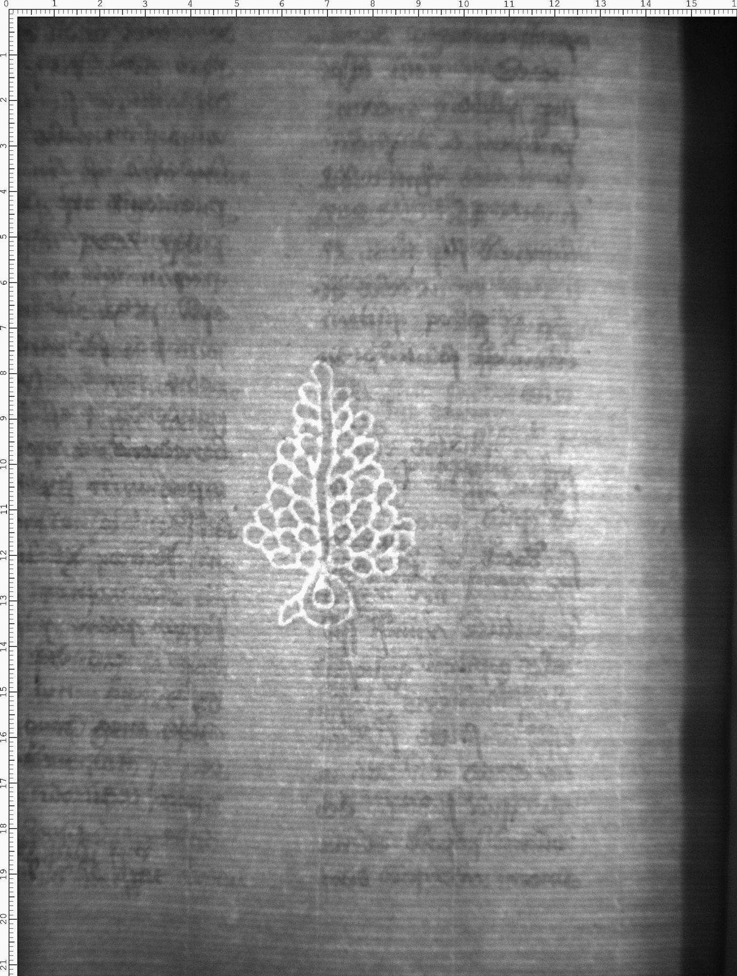 Watermark