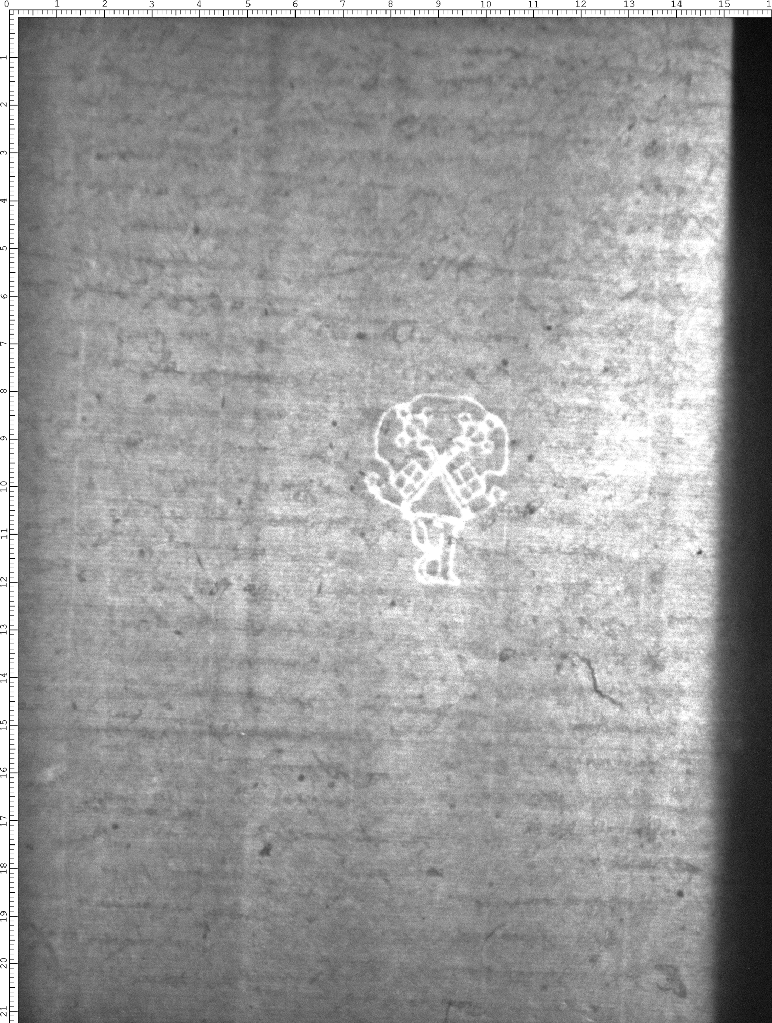Watermark