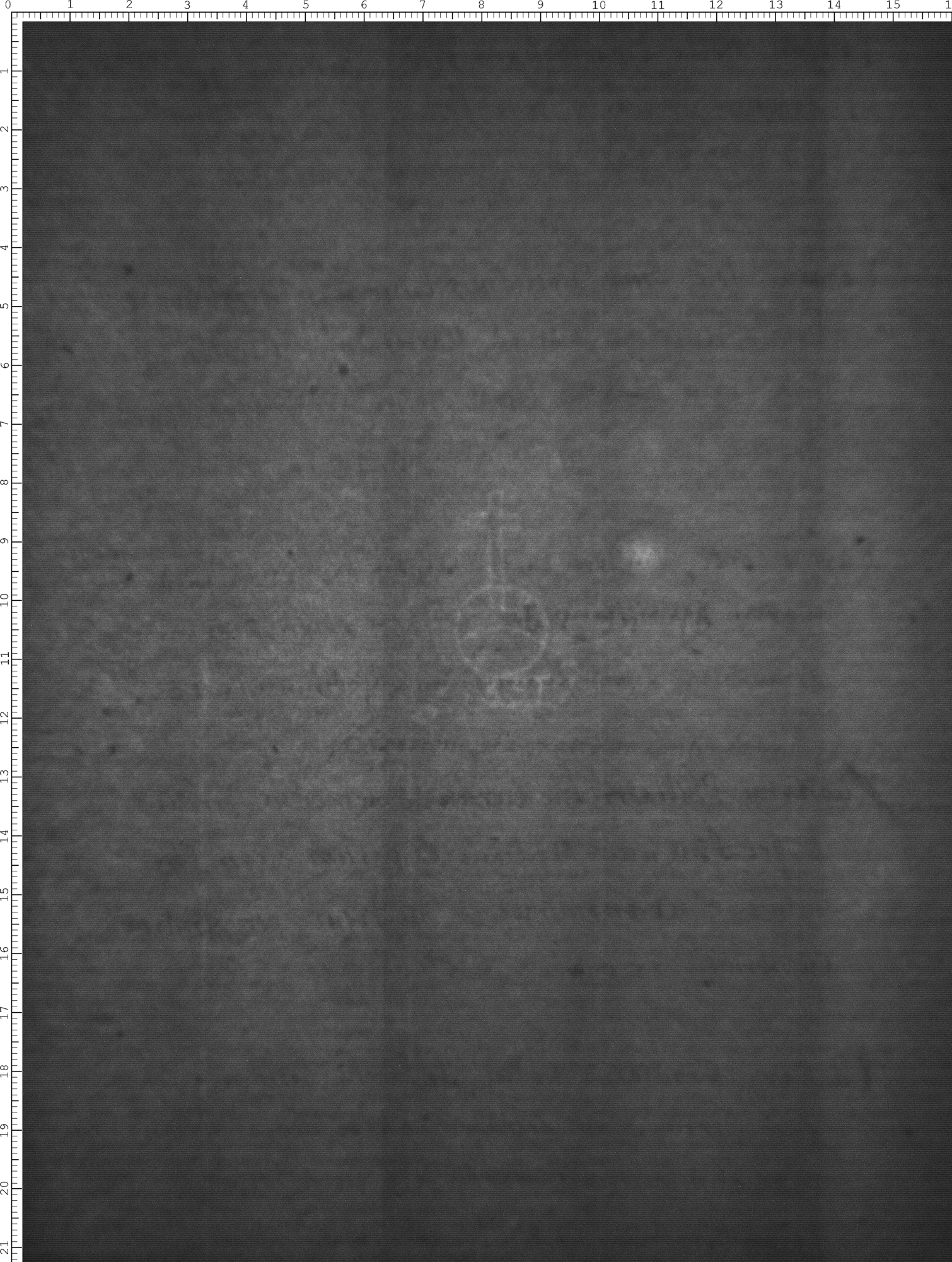Watermark