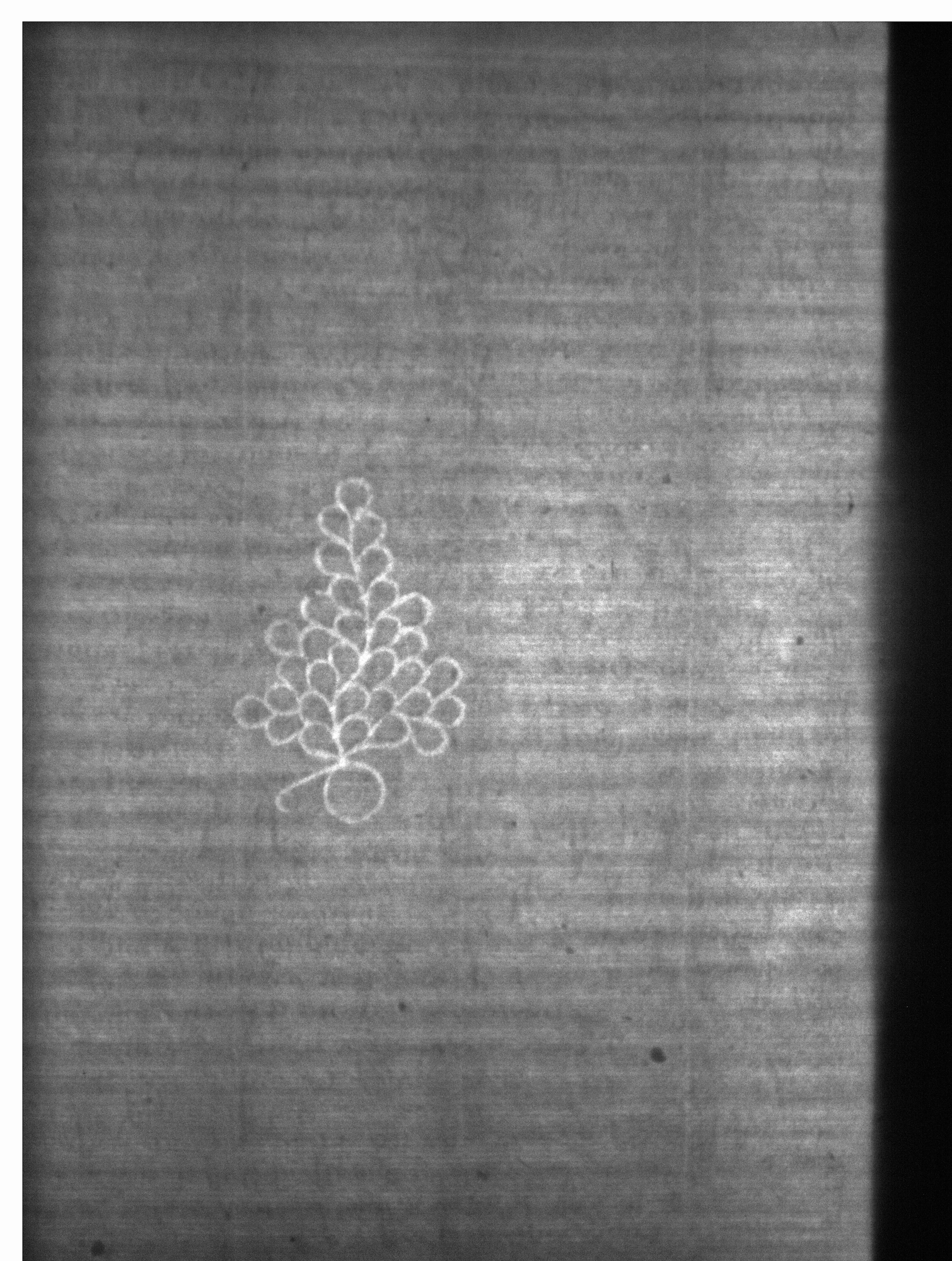 Watermark