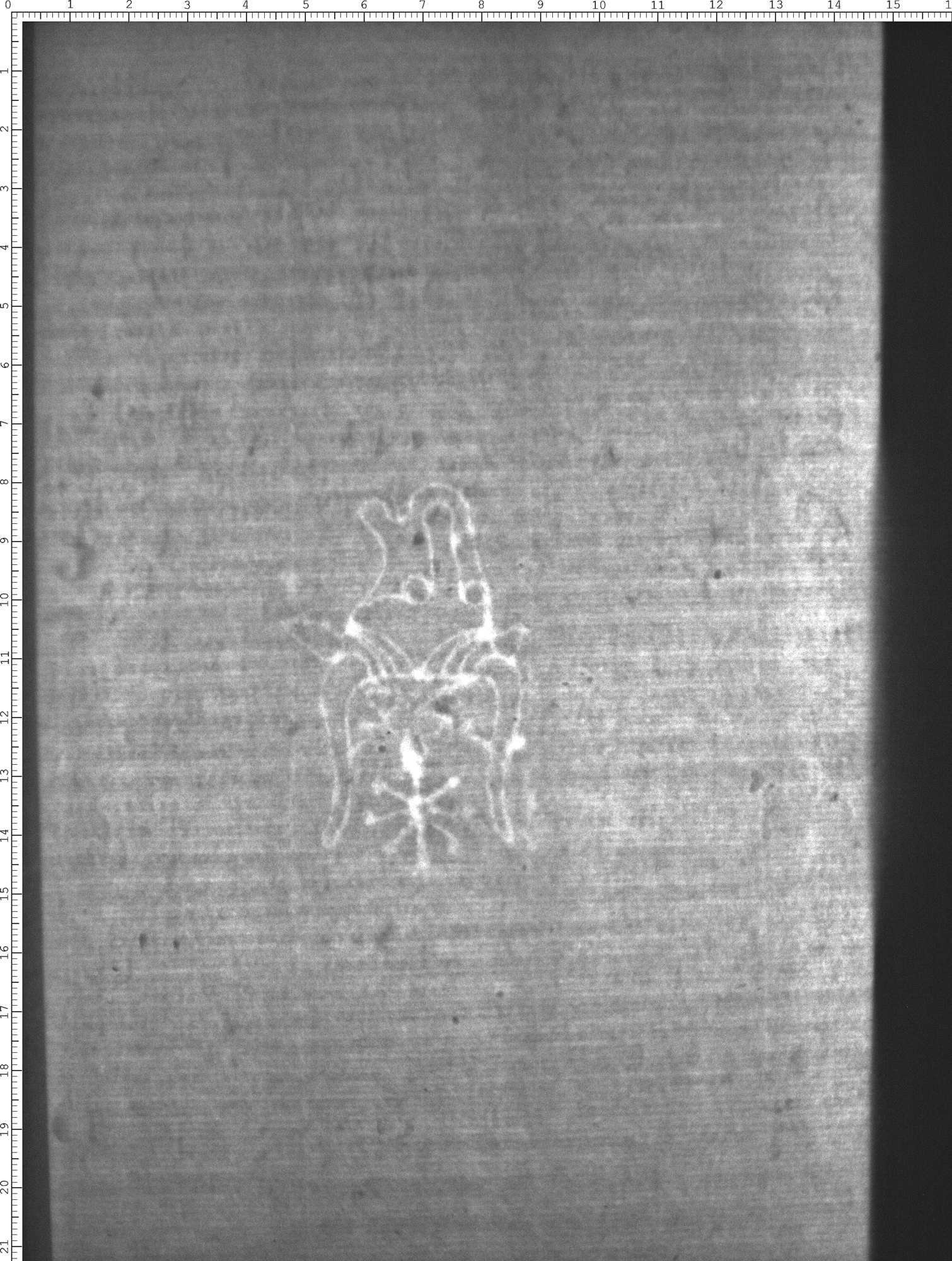 Watermark