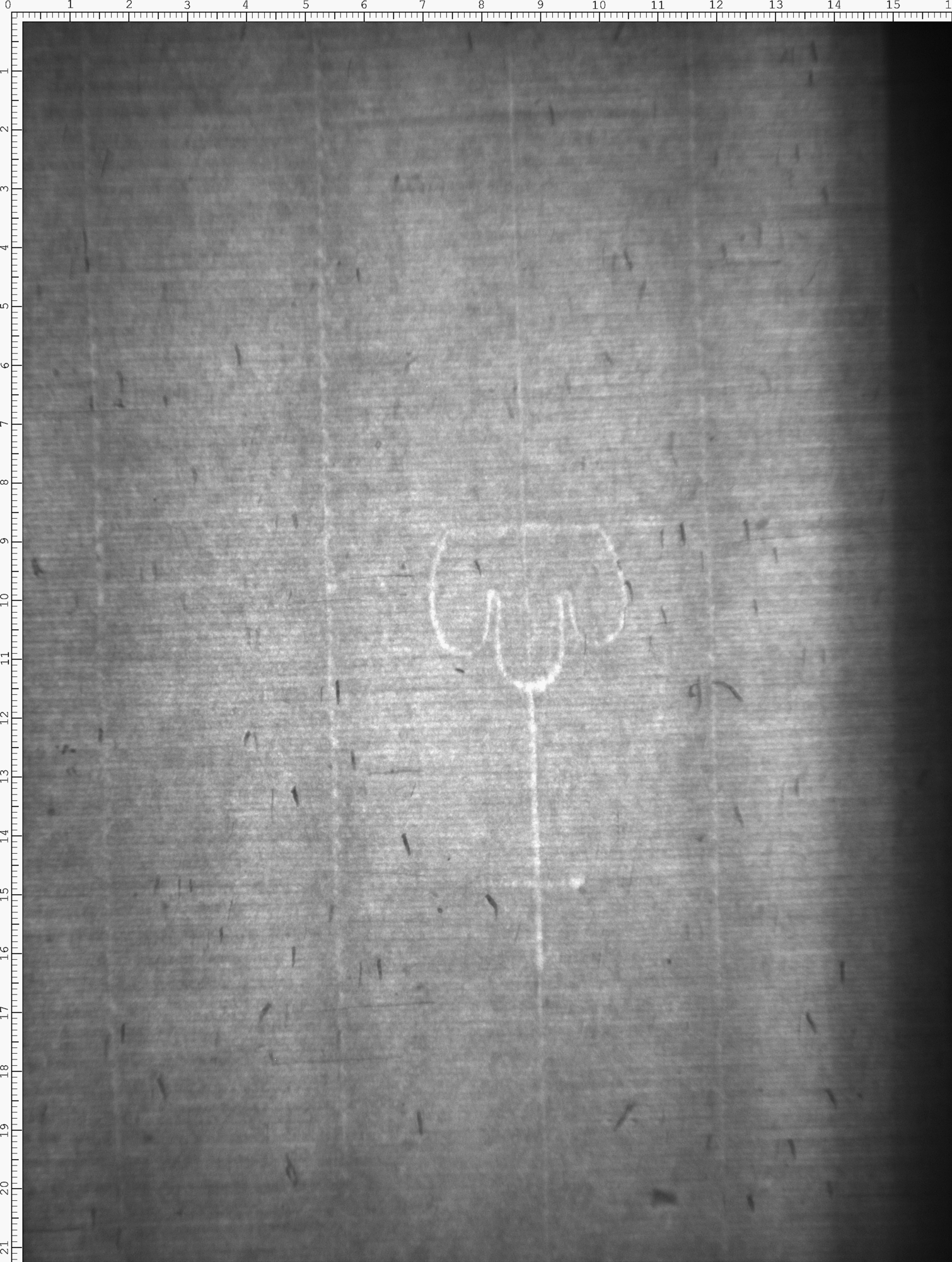 Watermark