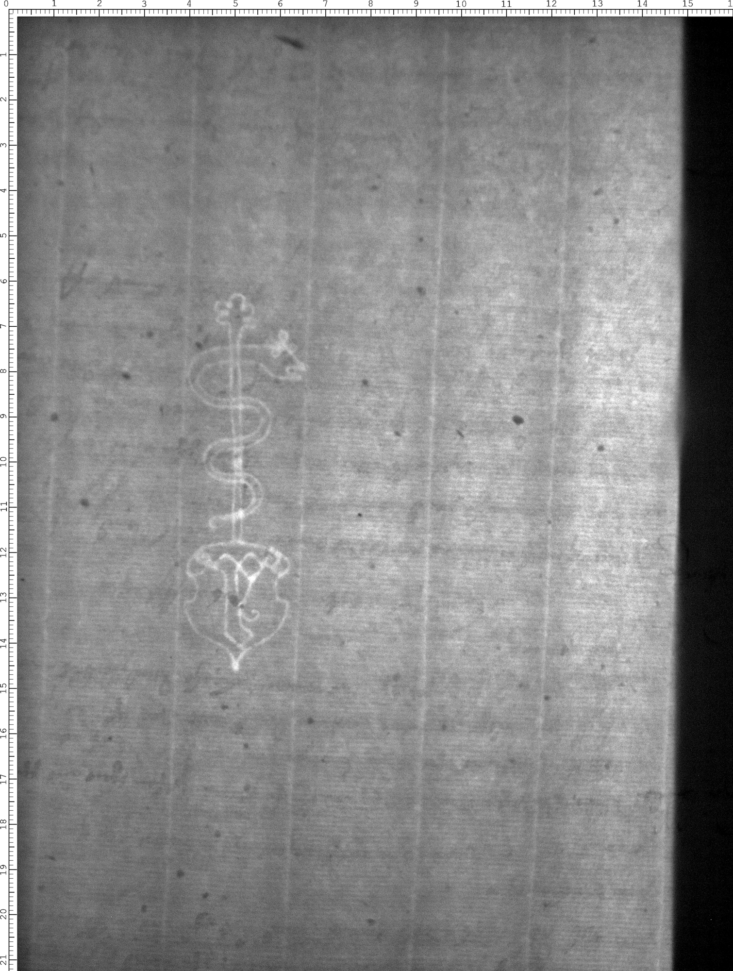 Watermark
