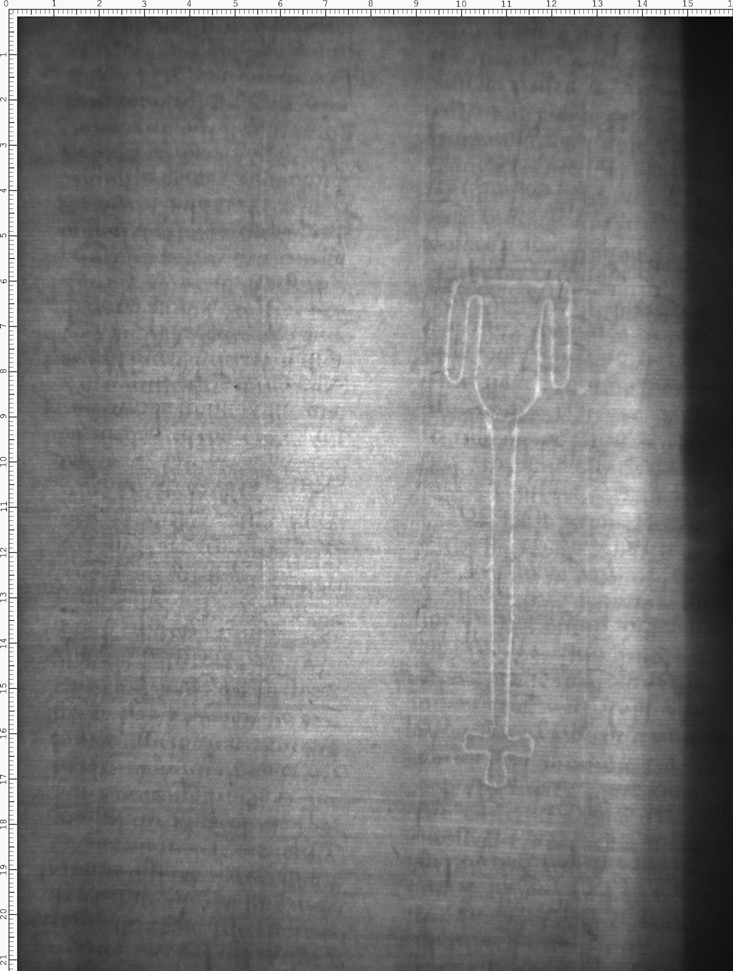 Watermark