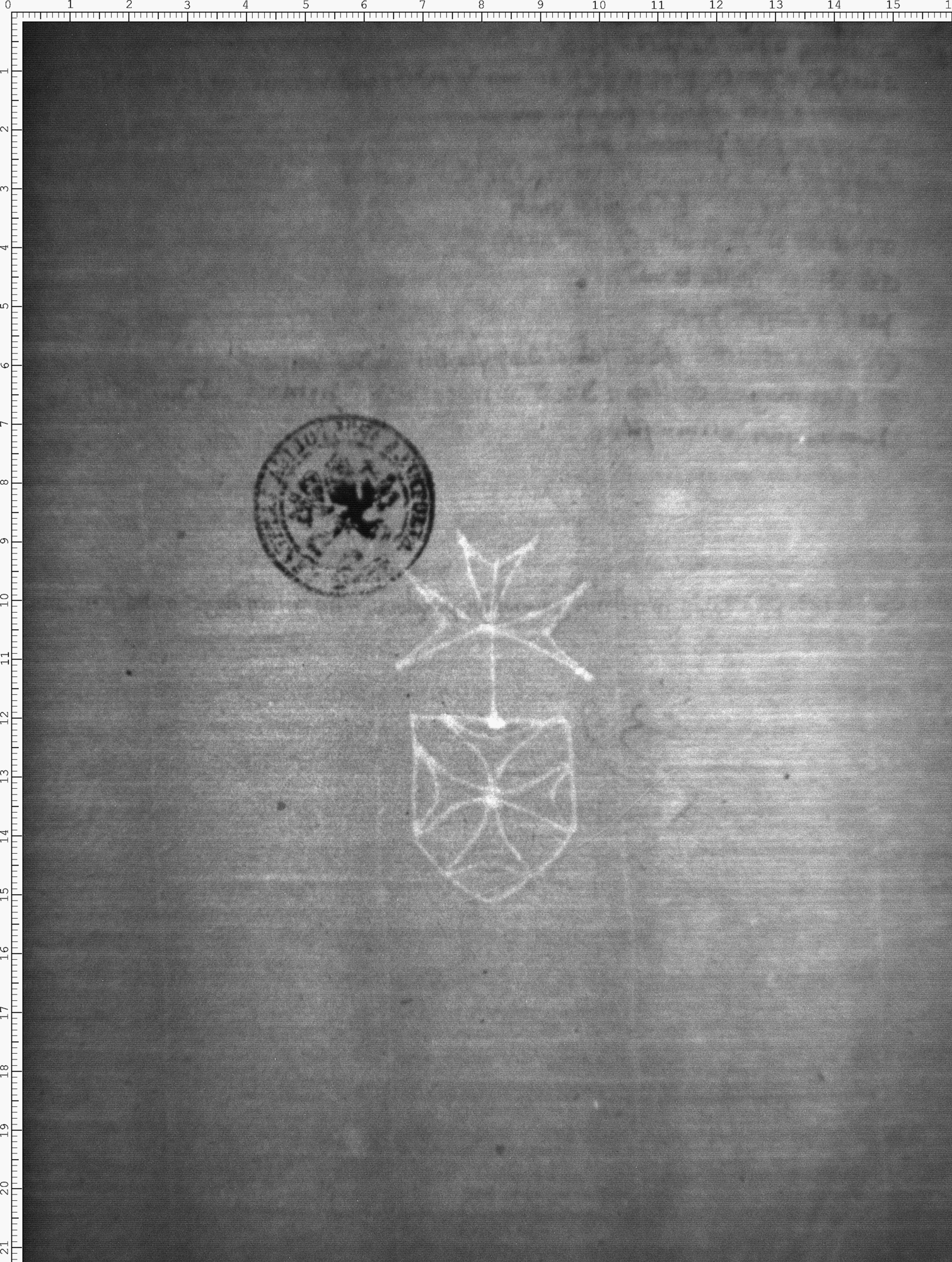 Watermark