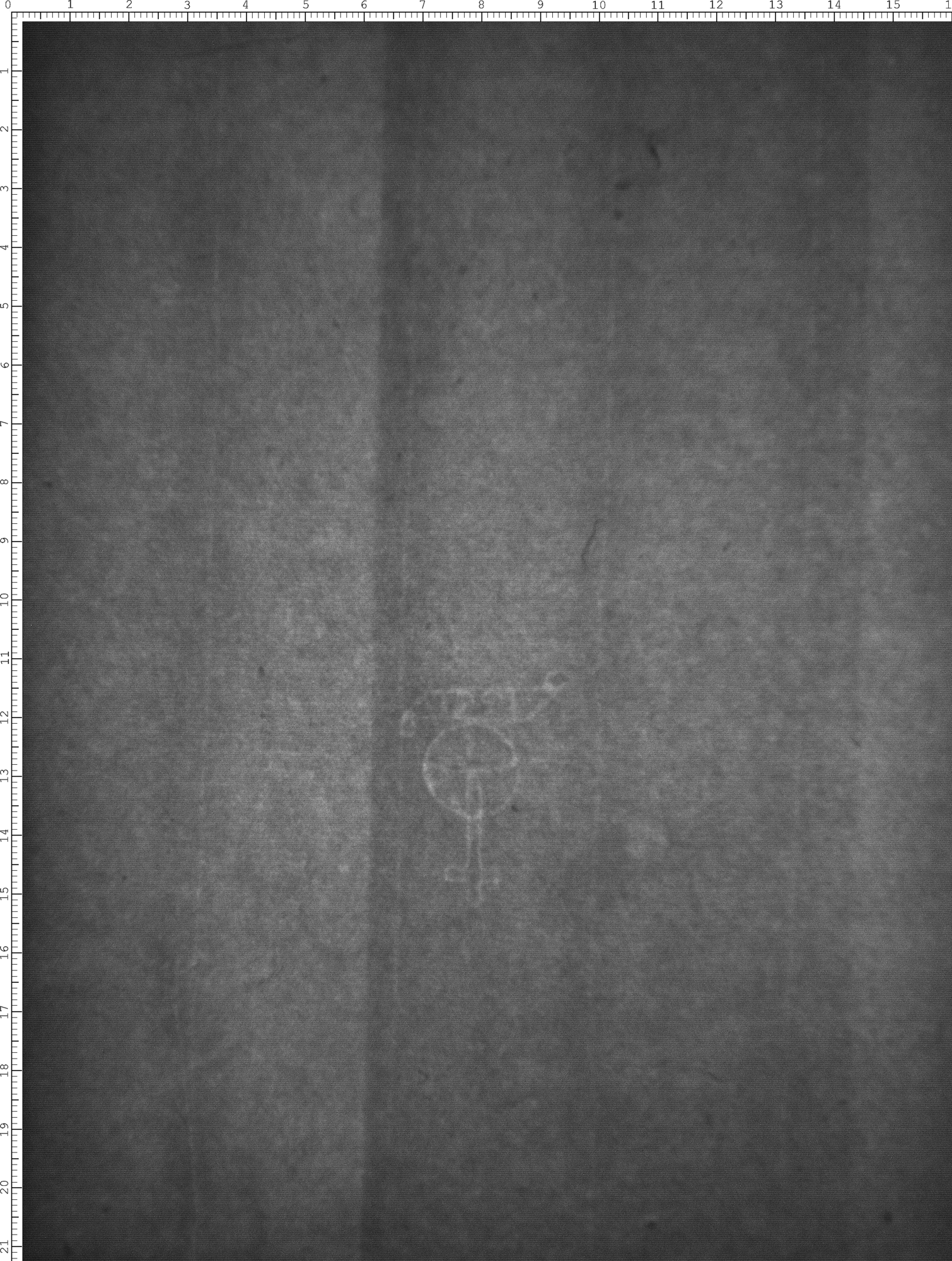 Watermark